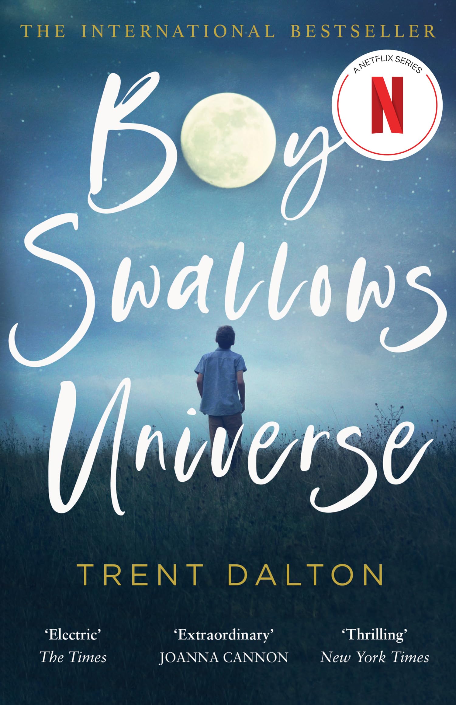 Product Image: Boy Swallows Universe