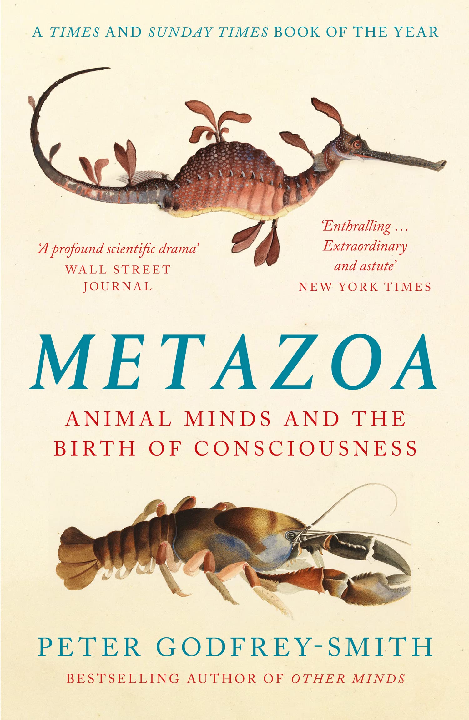 Product Image: Metazoa