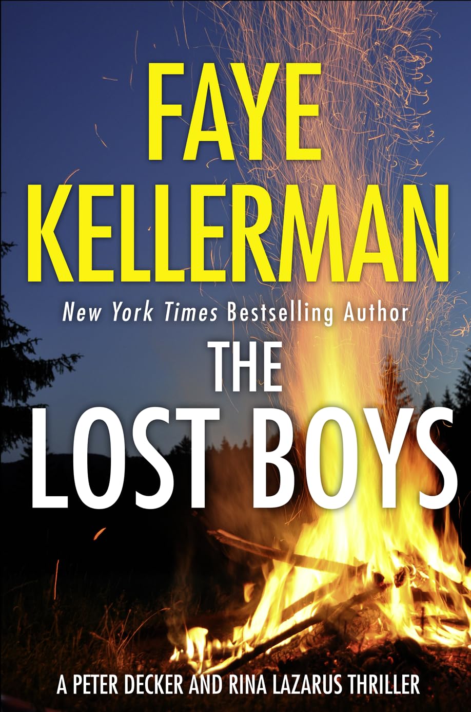 The Lost Boys: Peter Decker and Rina Lazarus Series (26) Contemporary literature
