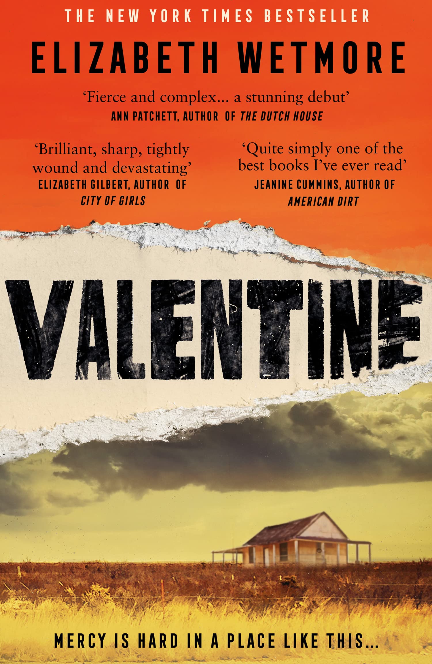 Valentine Contemporary literature Books