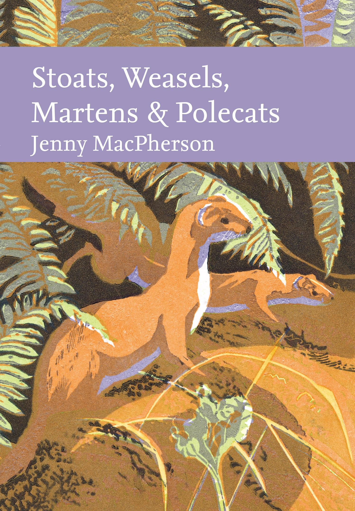 Stoats, Weasels, Martens and Polecats (Collins New Naturalist Library) Mathematics