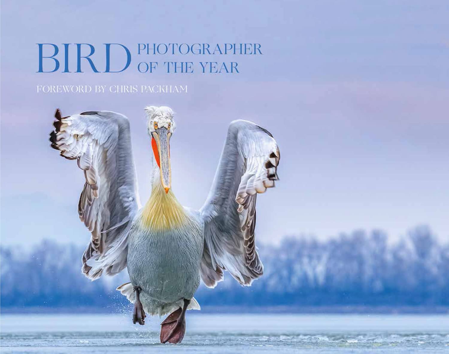 Bird Photographer of the Year Mathematics