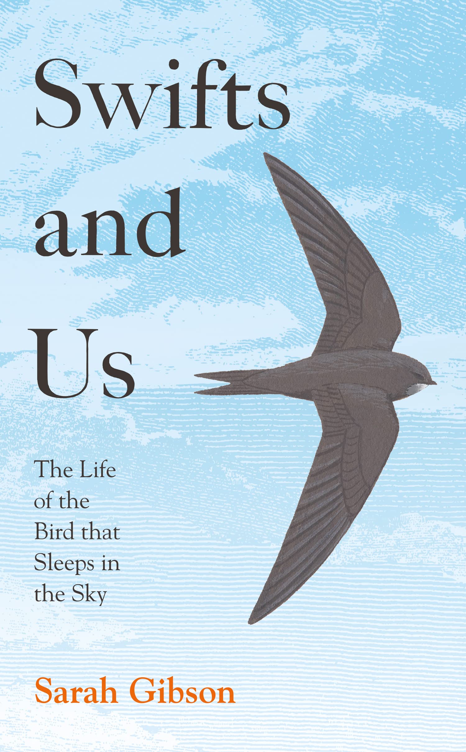 Swifts and Us: The Life of the Bird that Sleeps in the Sky Books