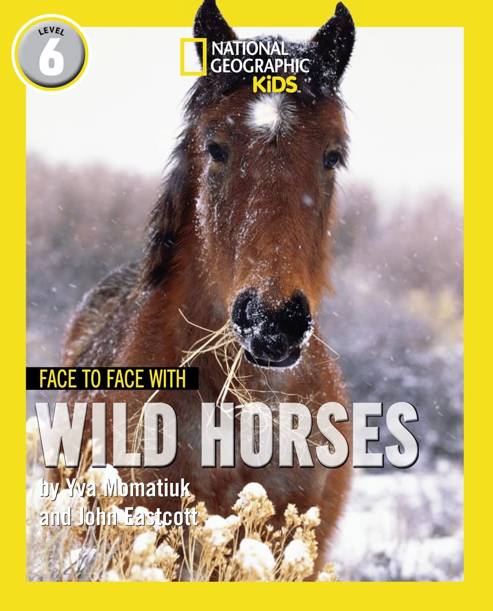 Face to Face with Wild Horses Study Guides
