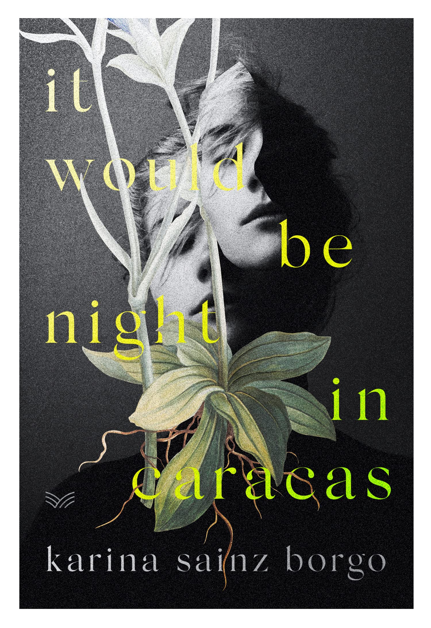 It Would Be Night in Caracas Social Sciences