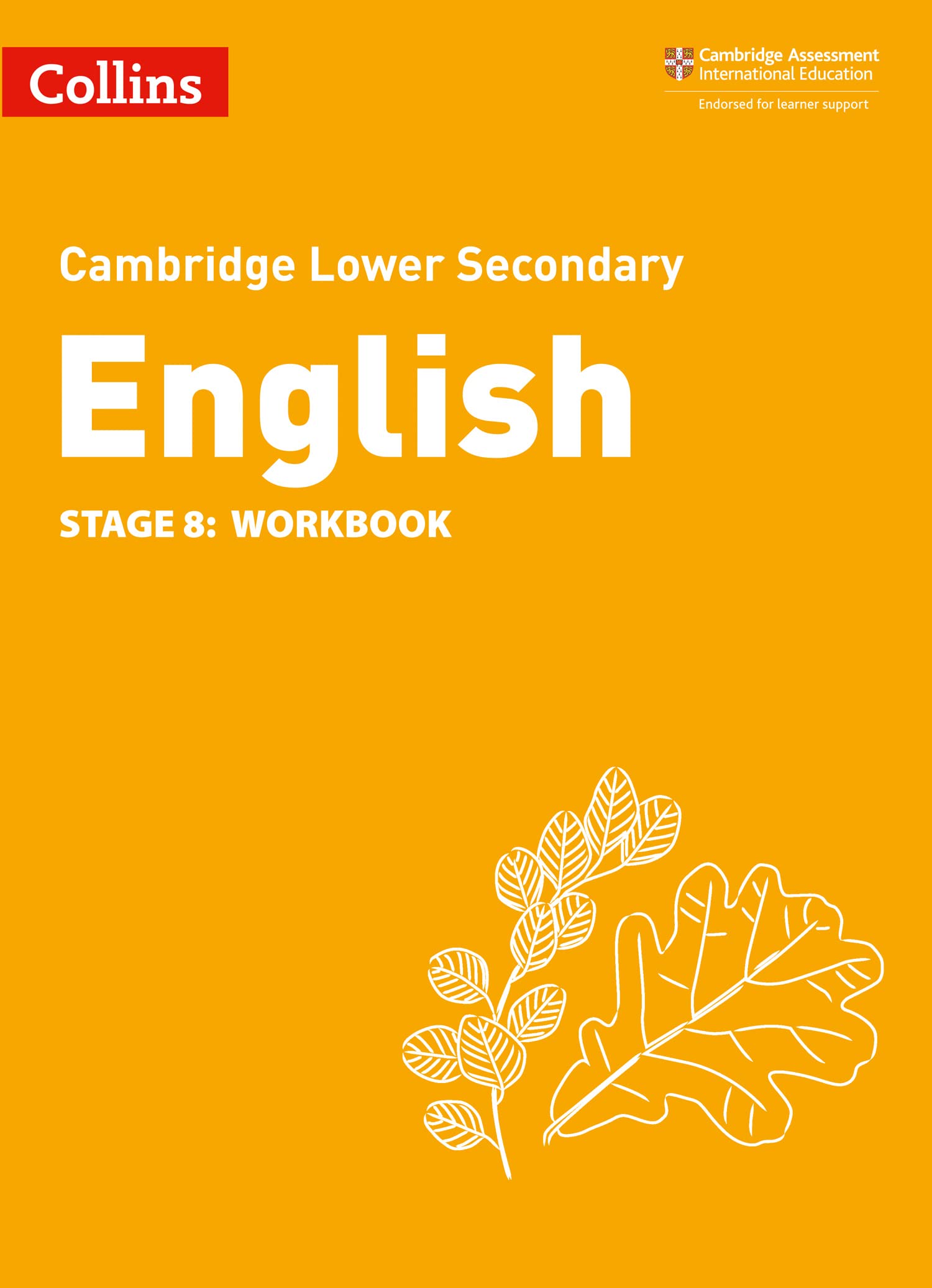 Lower Secondary English Workbook: Stage 8 Education & Training Books