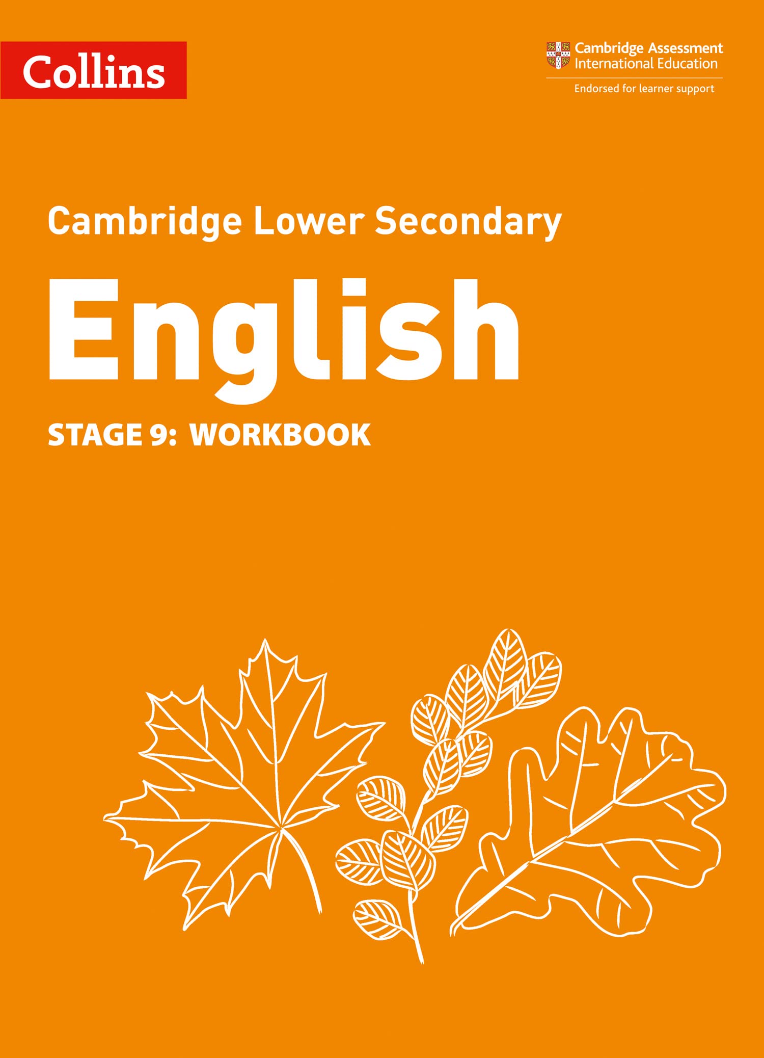 Lower Secondary English Workbook: Stage 9 (Collins Cambridge Lower Secondary English) Education & Training
