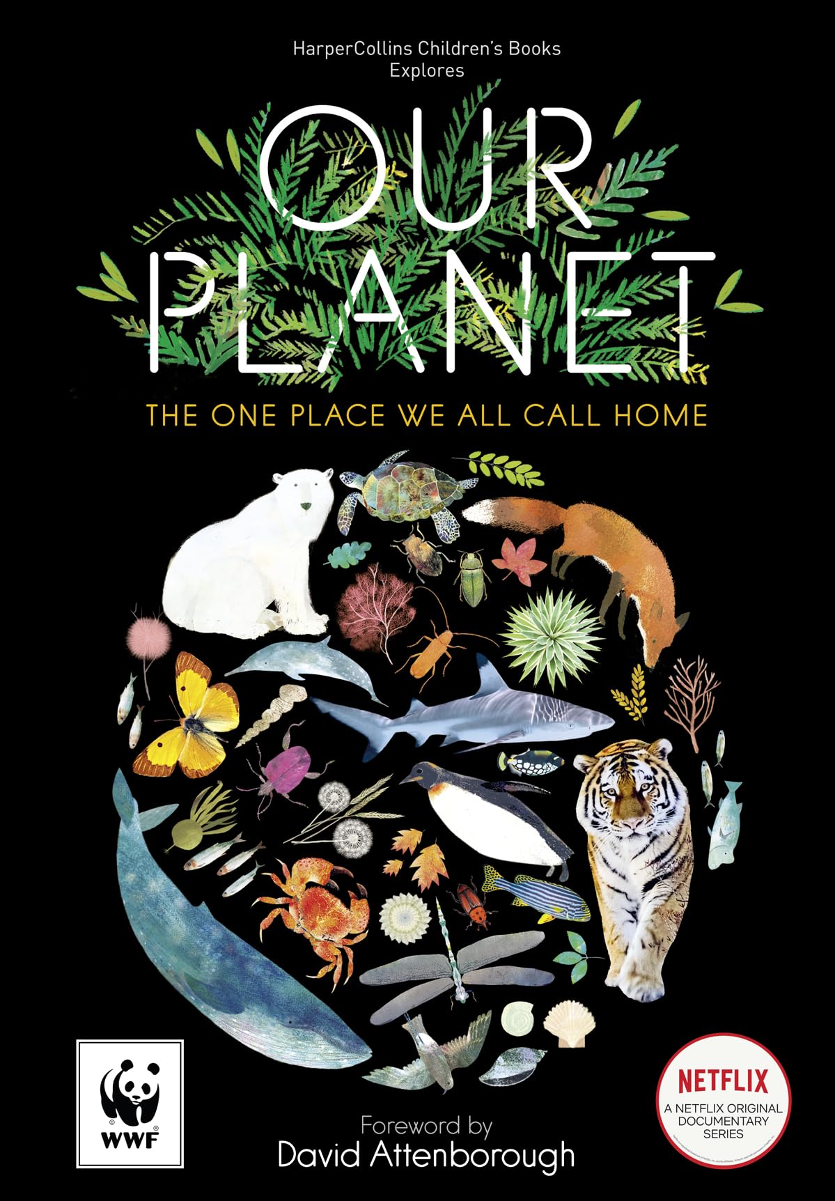 Our Planet: The One Place We All Call Home book