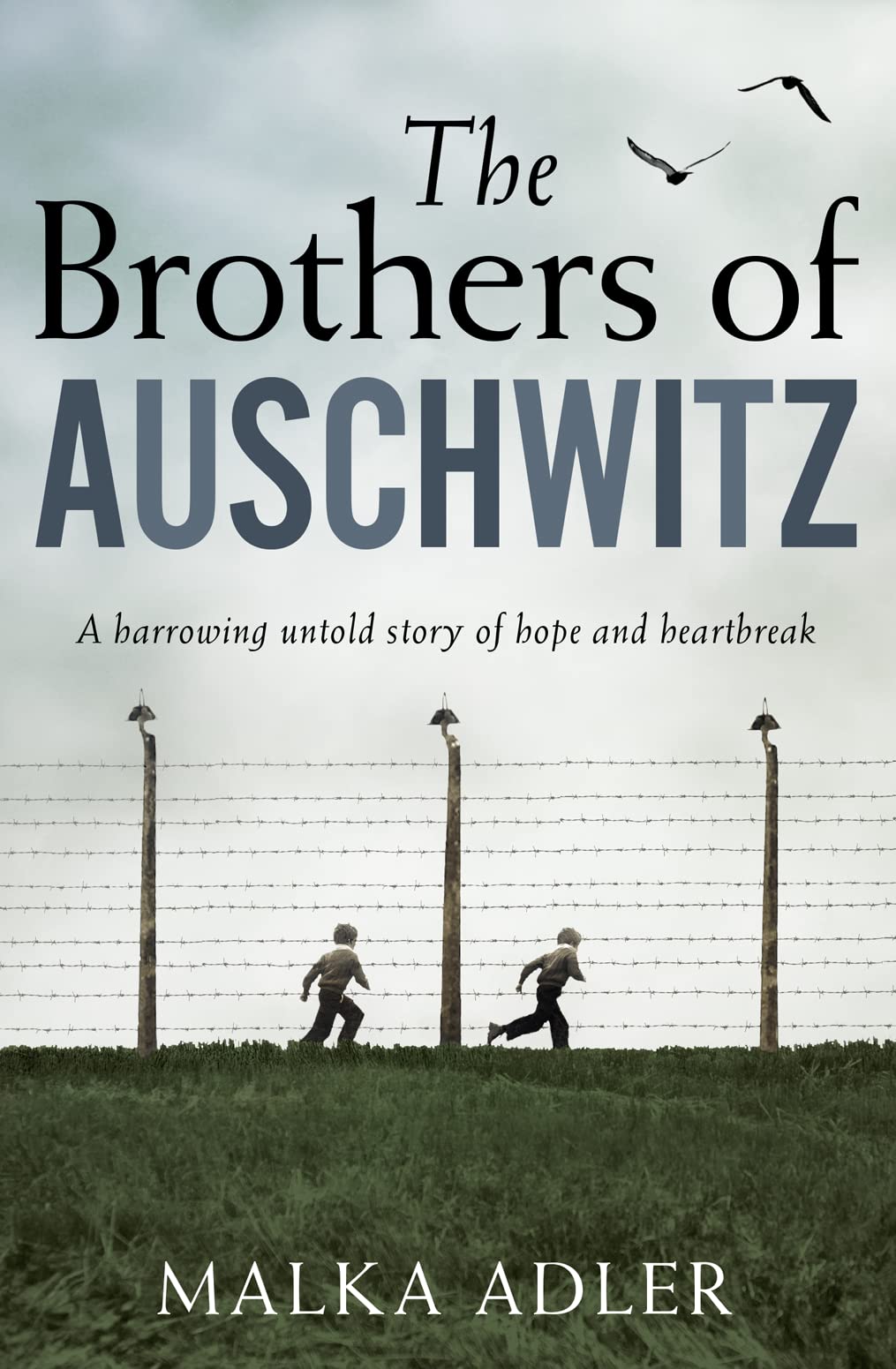 The Brothers of Auschwitz Contemporary literature