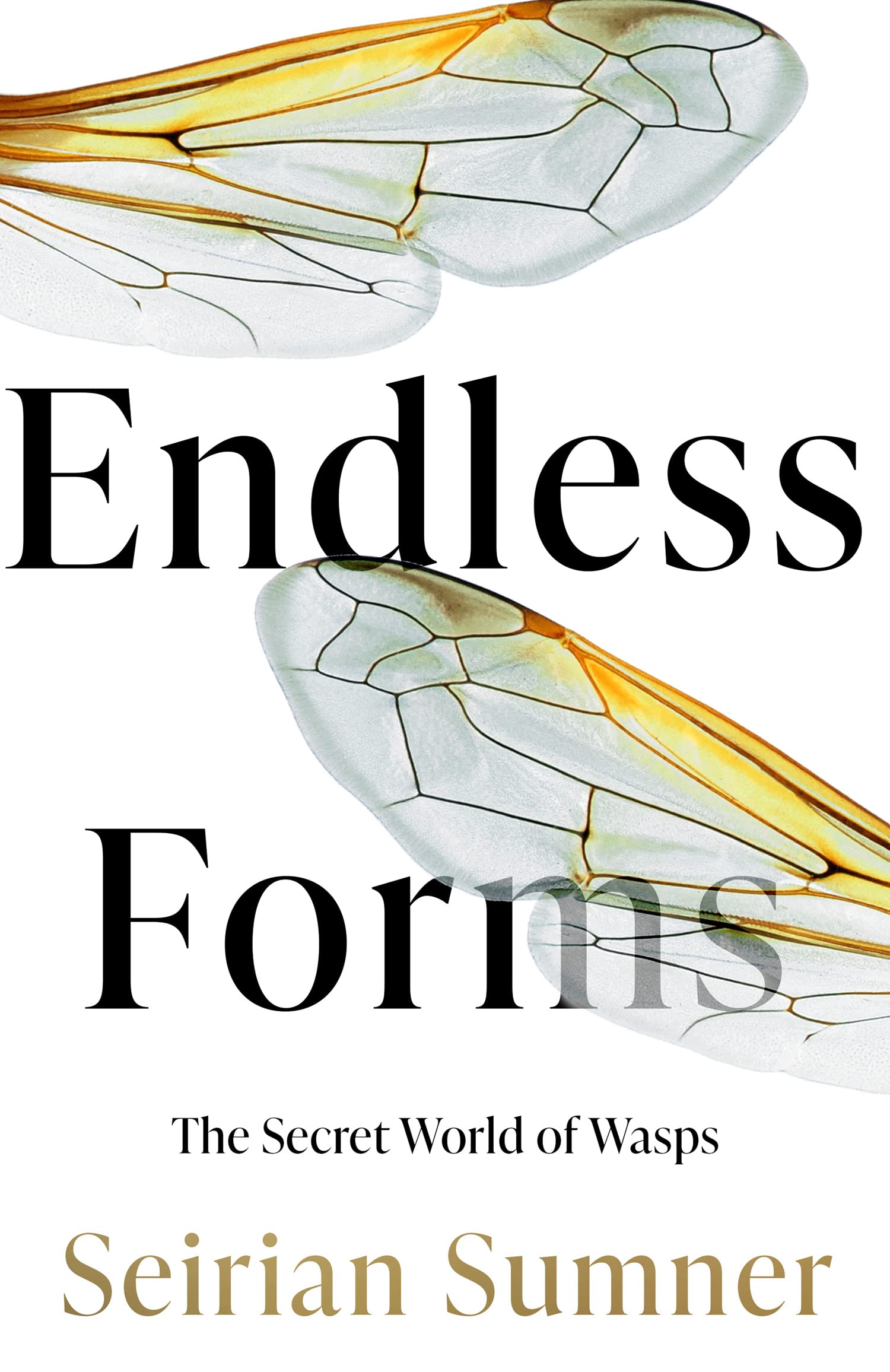 Endless Forms: The Secret World of Wasps Mathematics