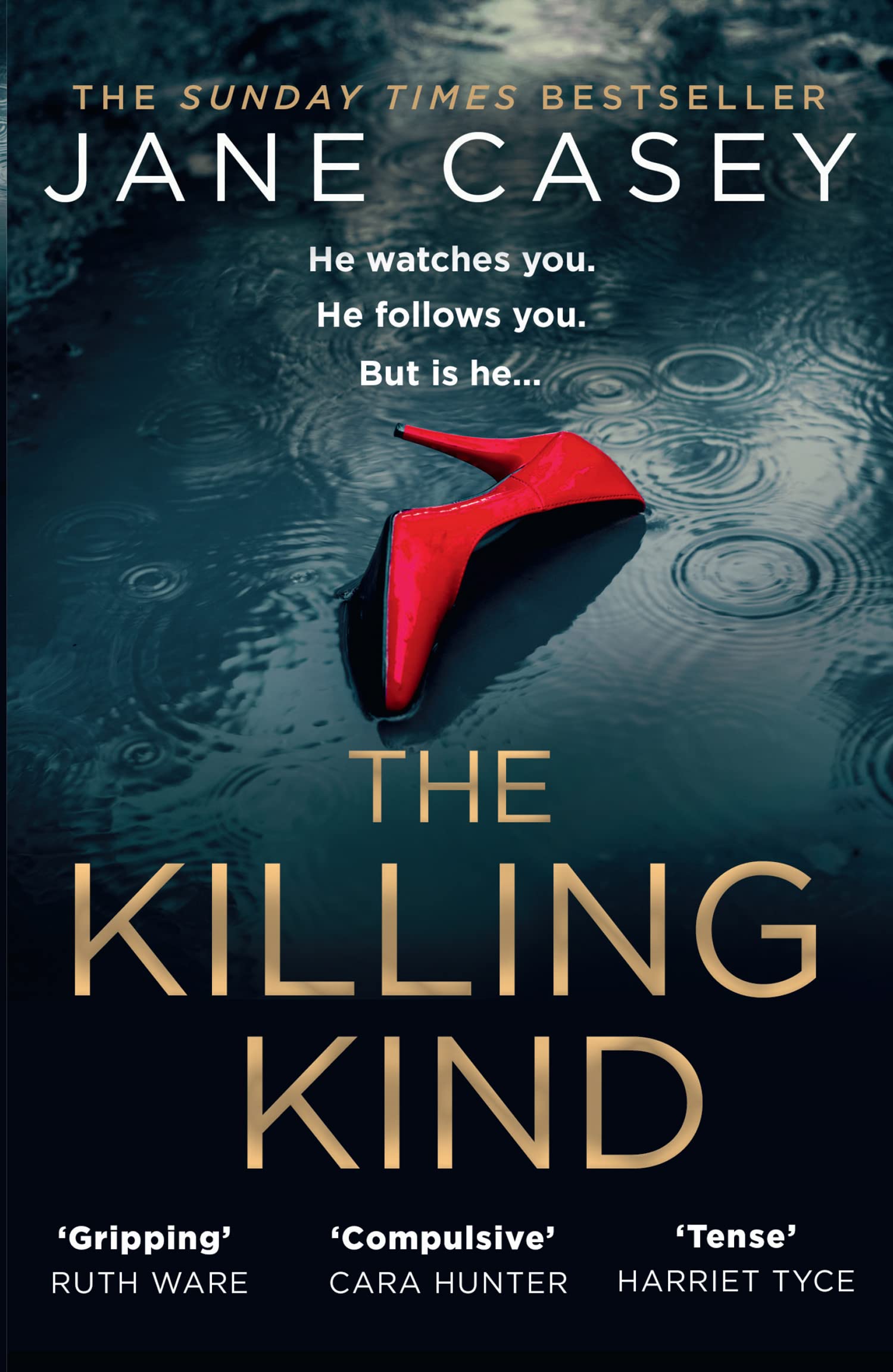 The Killing Kind: The Richard & Judy crime suspense thriller from a Top 10 Sunday Times bestselling author, now streaming on Netflix Contemporary literature