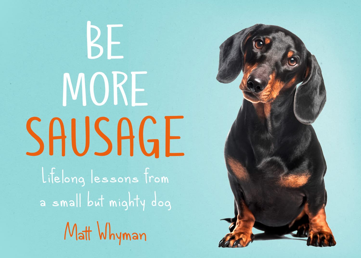 Be More Sausage: Lifelong lessons from a small but mighty dog Business, Finance & Career