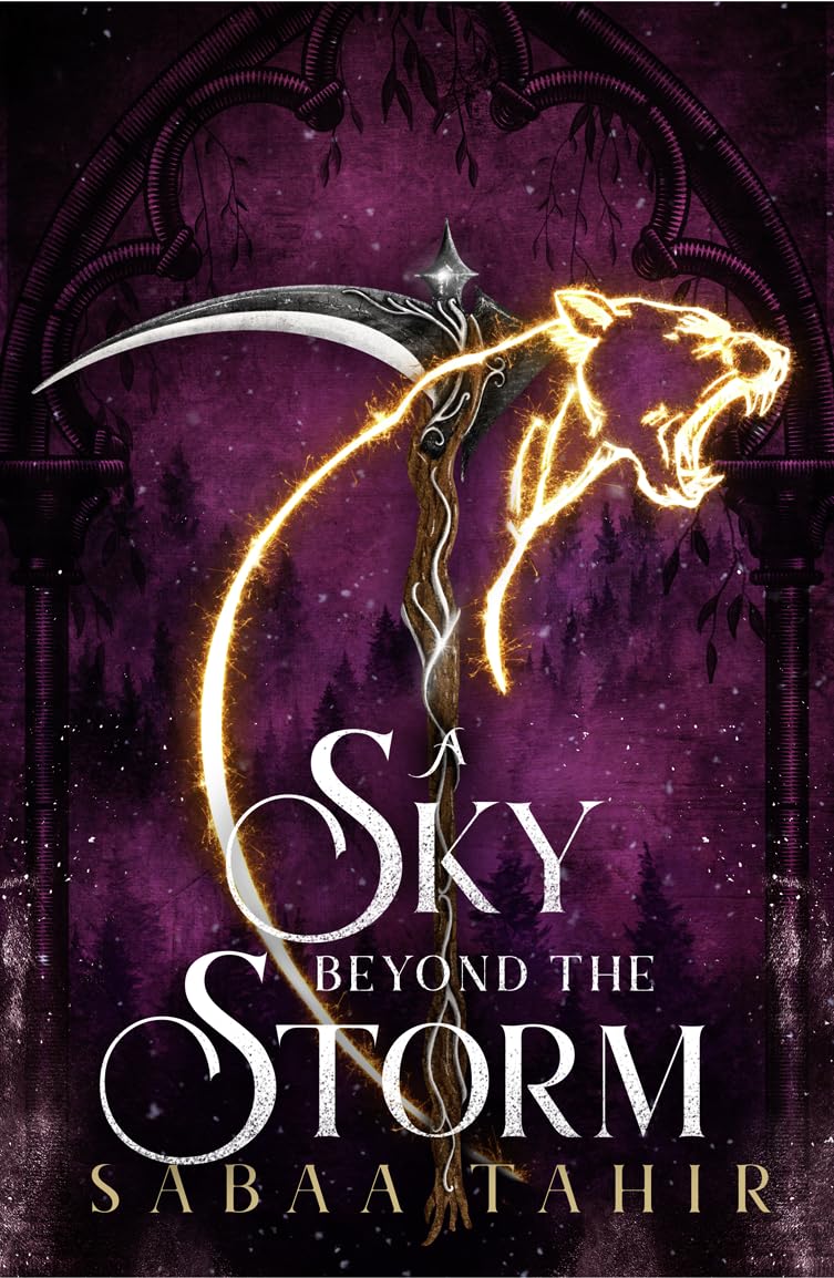 Product Image: A Sky Beyond the Storm