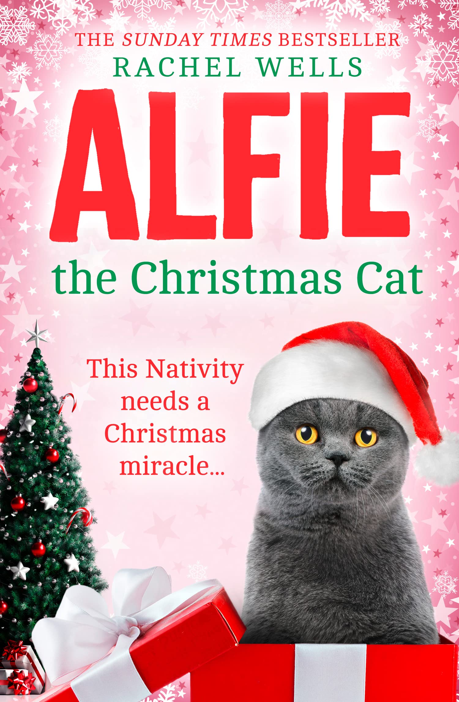 Alfie the Christmas Cat Contemporary literature