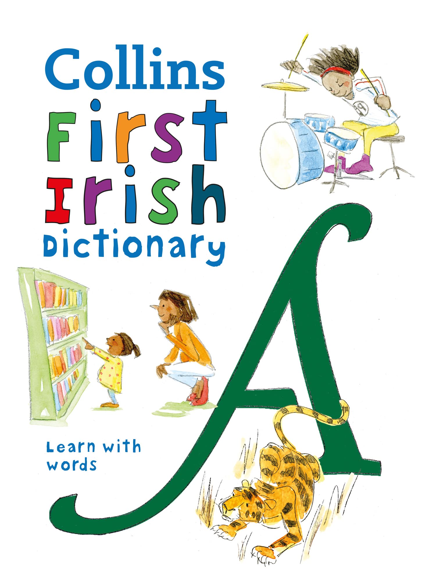 First Irish Dictionary Professional & Reference Books