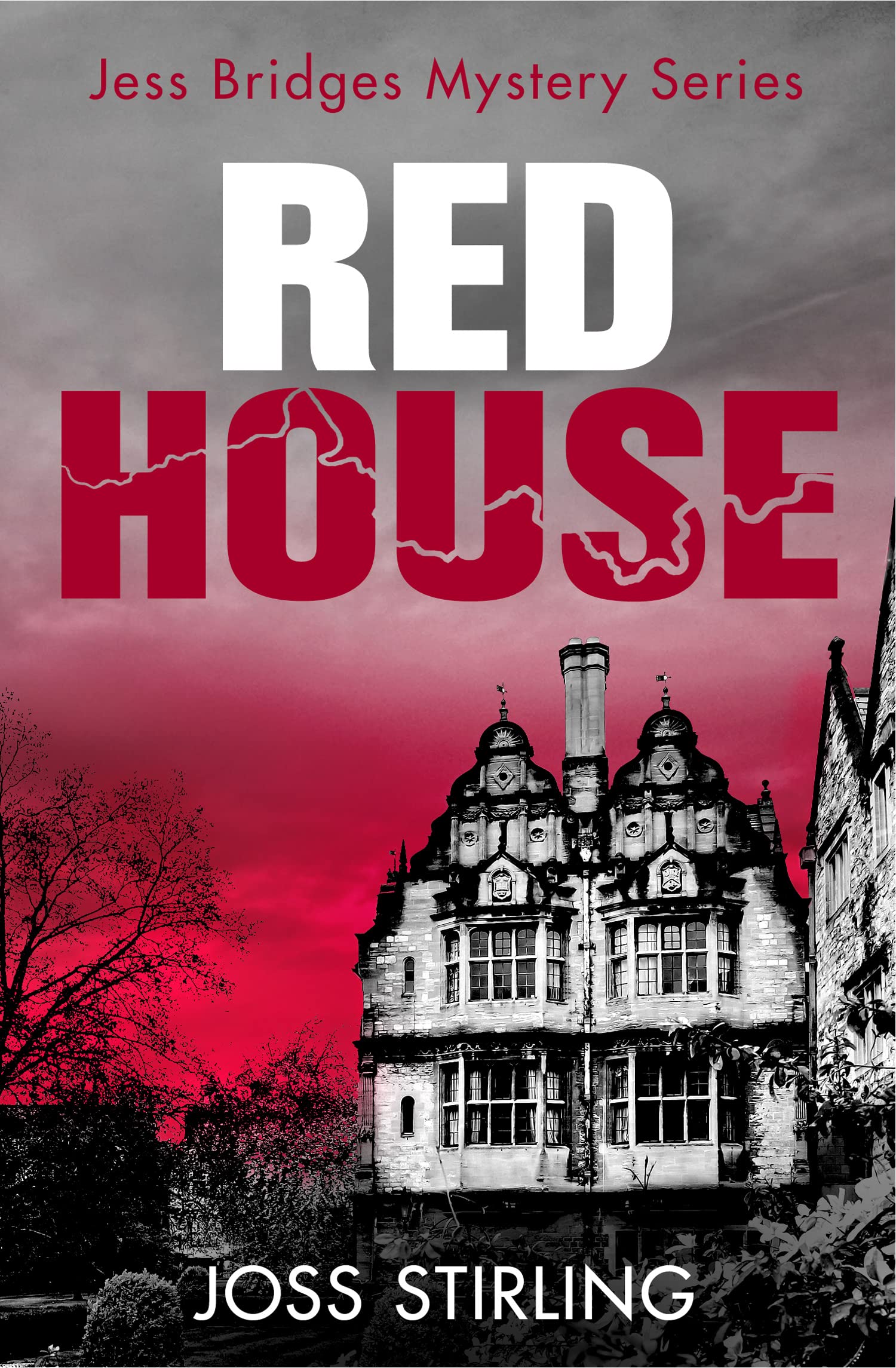RED HOUSE (A Jess Bridges Mystery) Contemporary literature