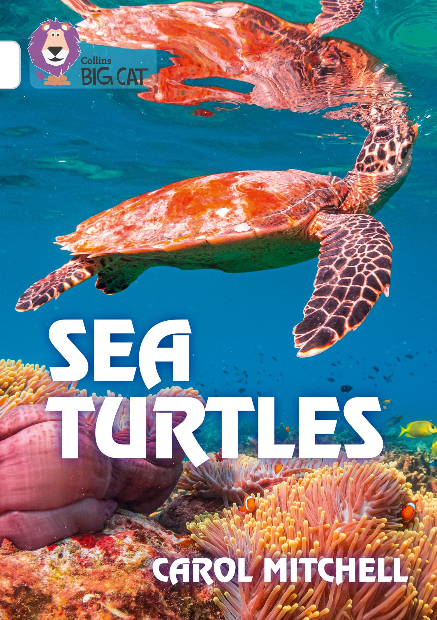 Sea Turtles: Band 10/White (Collins Big Cat) Education & Training