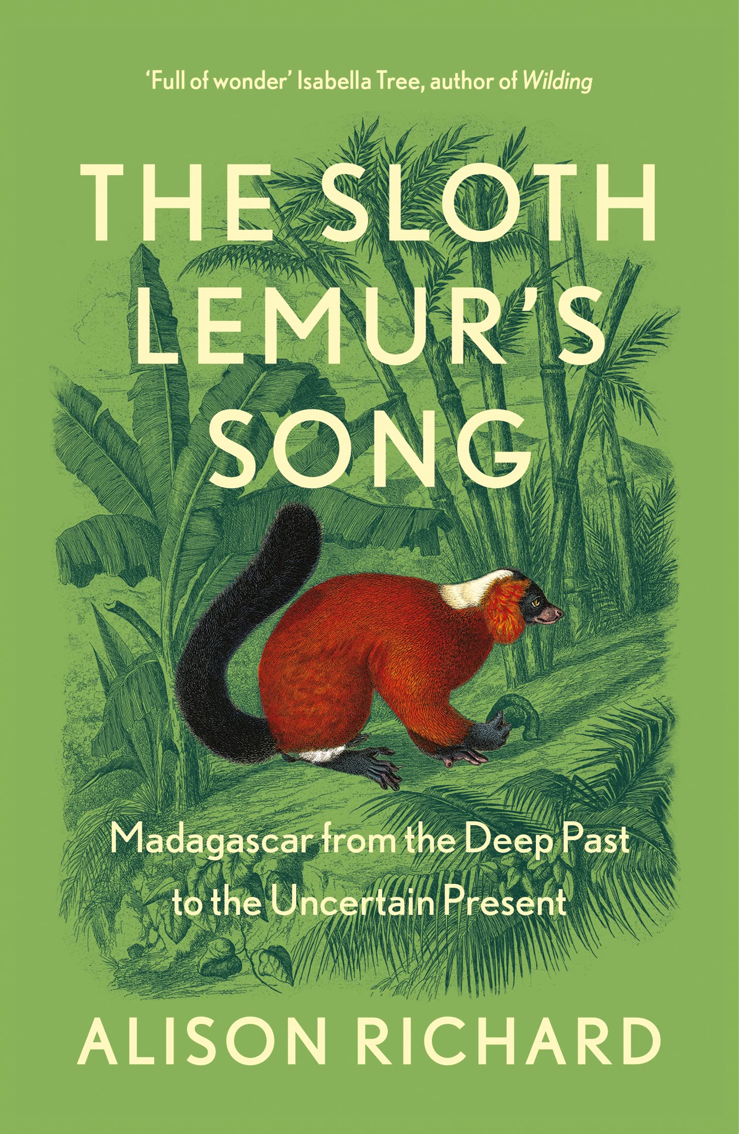 The Sloth Lemur’s Song: The History of Madagascar’s Evolution from the Deep Past to the Uncertain Present Social Sciences
