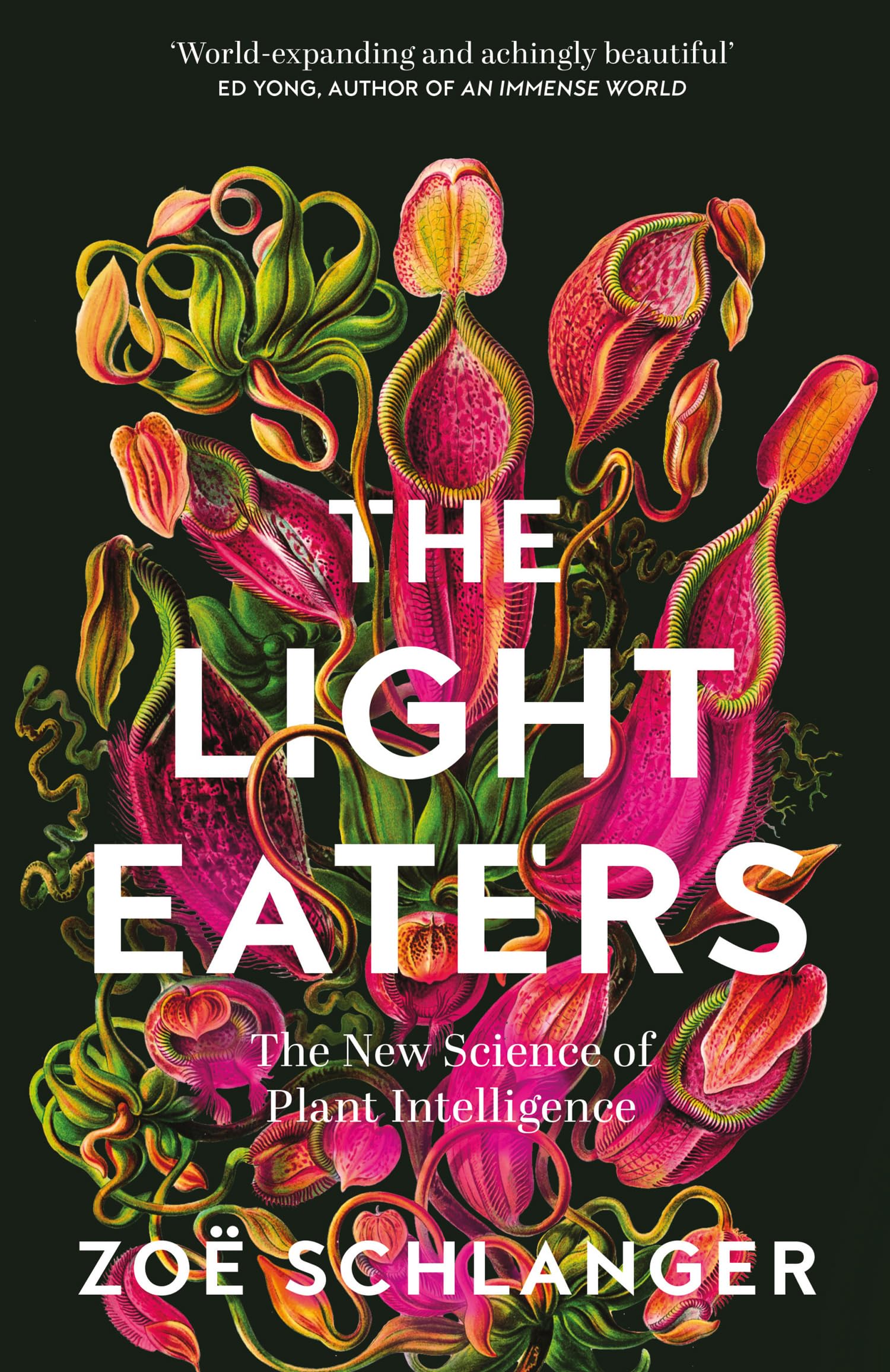 The Light Eaters: The New Science of Plant Intelligence book