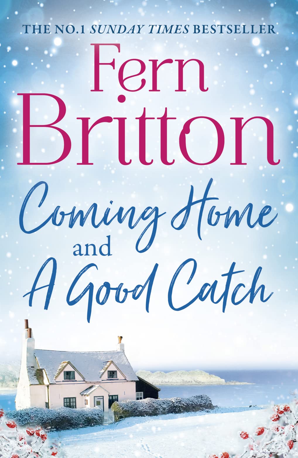 Britton, F: FERN BRITTON COLLECTION PB Humour & Satire