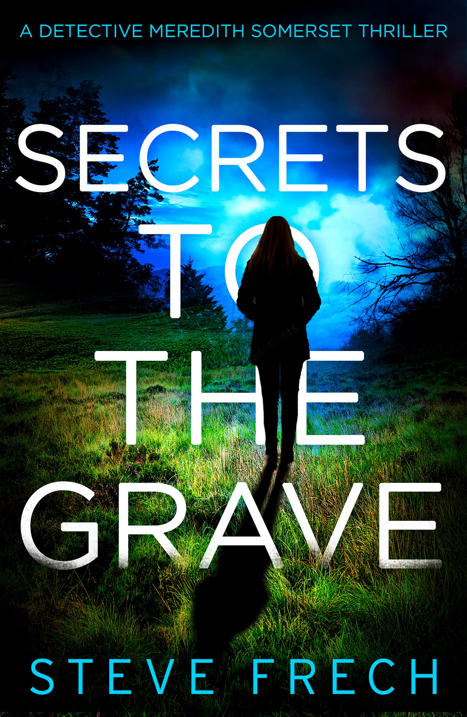 Secrets to the Grave Contemporary literature Books