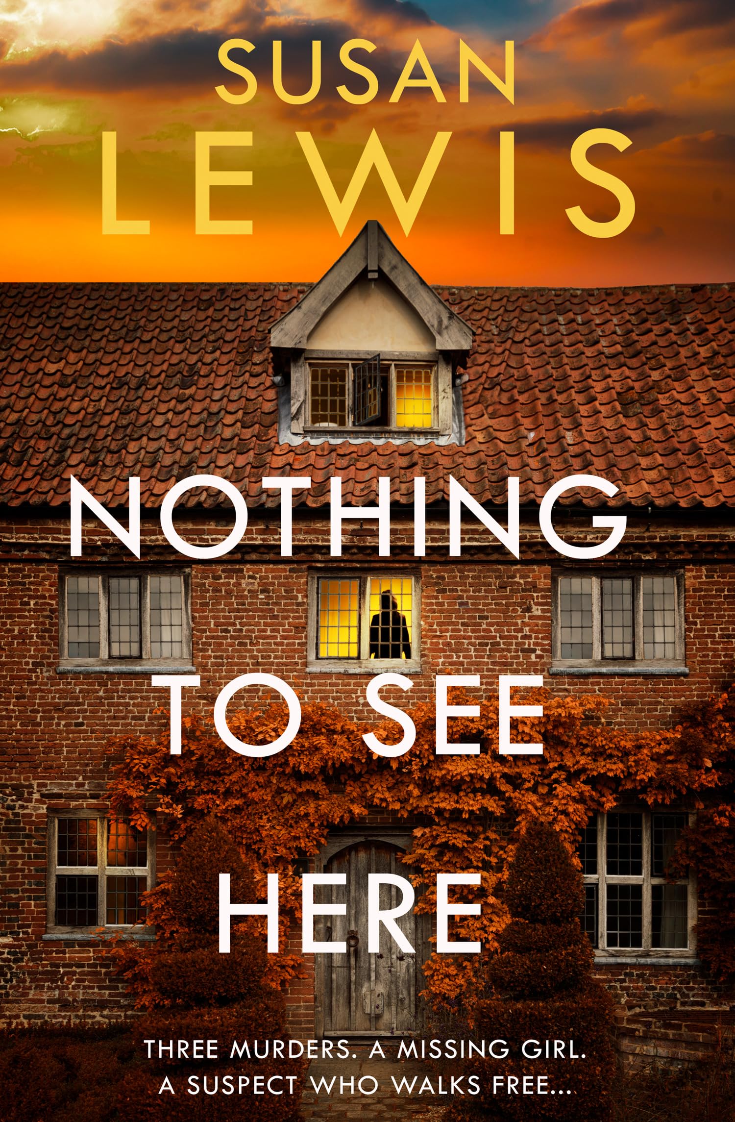 Nothing to See Here: The gripping new crime thriller from the Sunday Times bestselling author! (Cristy Ward thriller) Contemporary literature