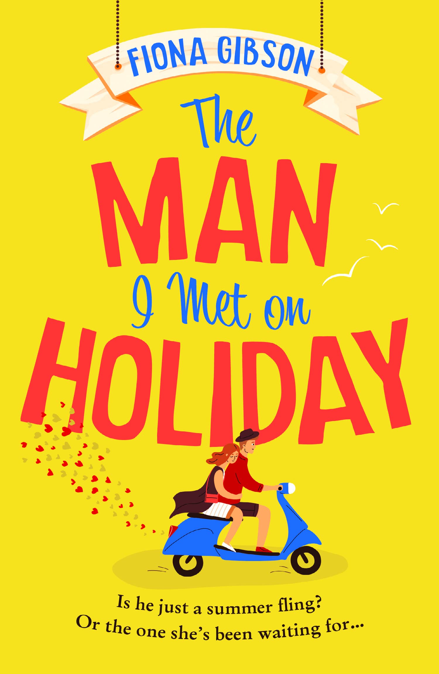 The Man I Met on Holiday book