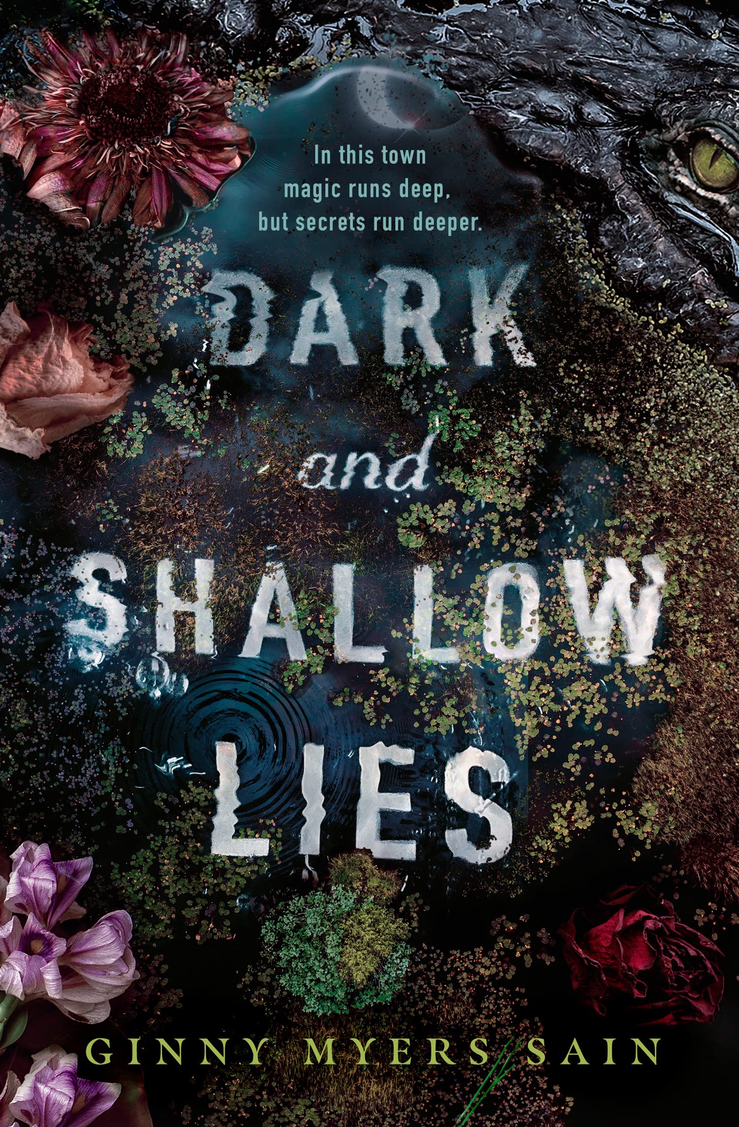 Dark and Shallow Lies Fiction
