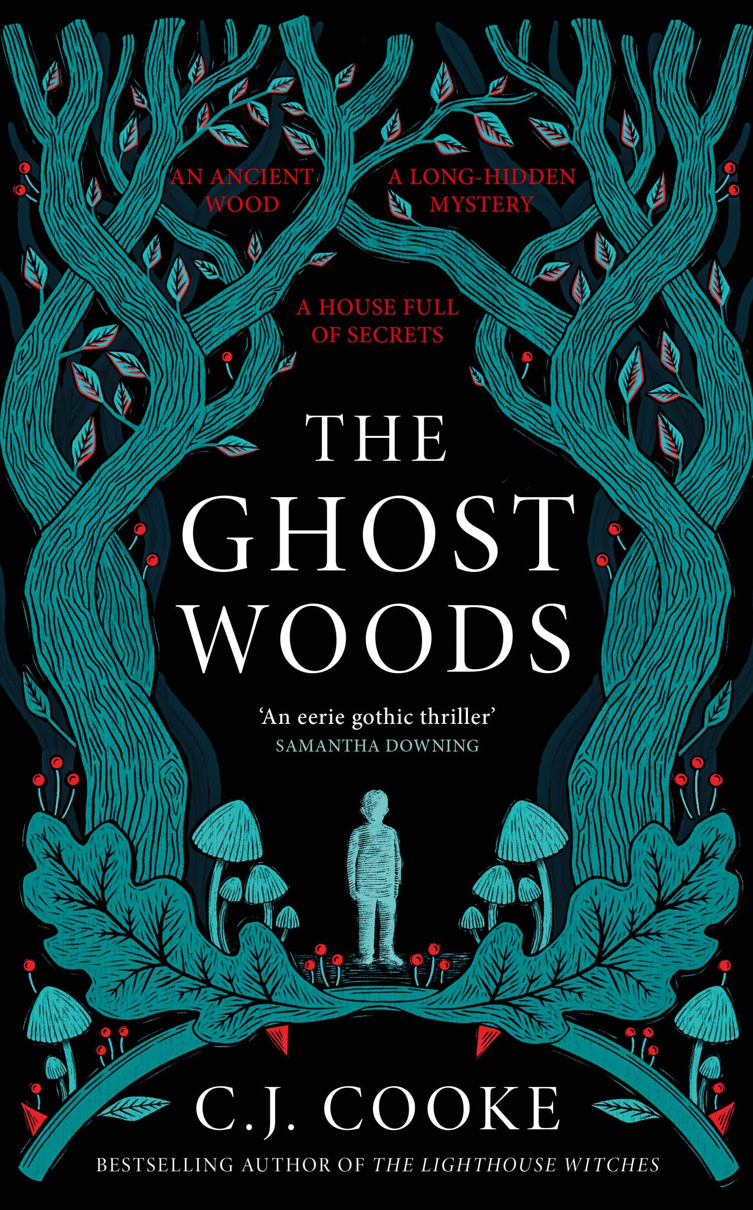 The Ghost Woods: The perfect new 2022 gothic historical novel you won’t be able to put down Contemporary literature