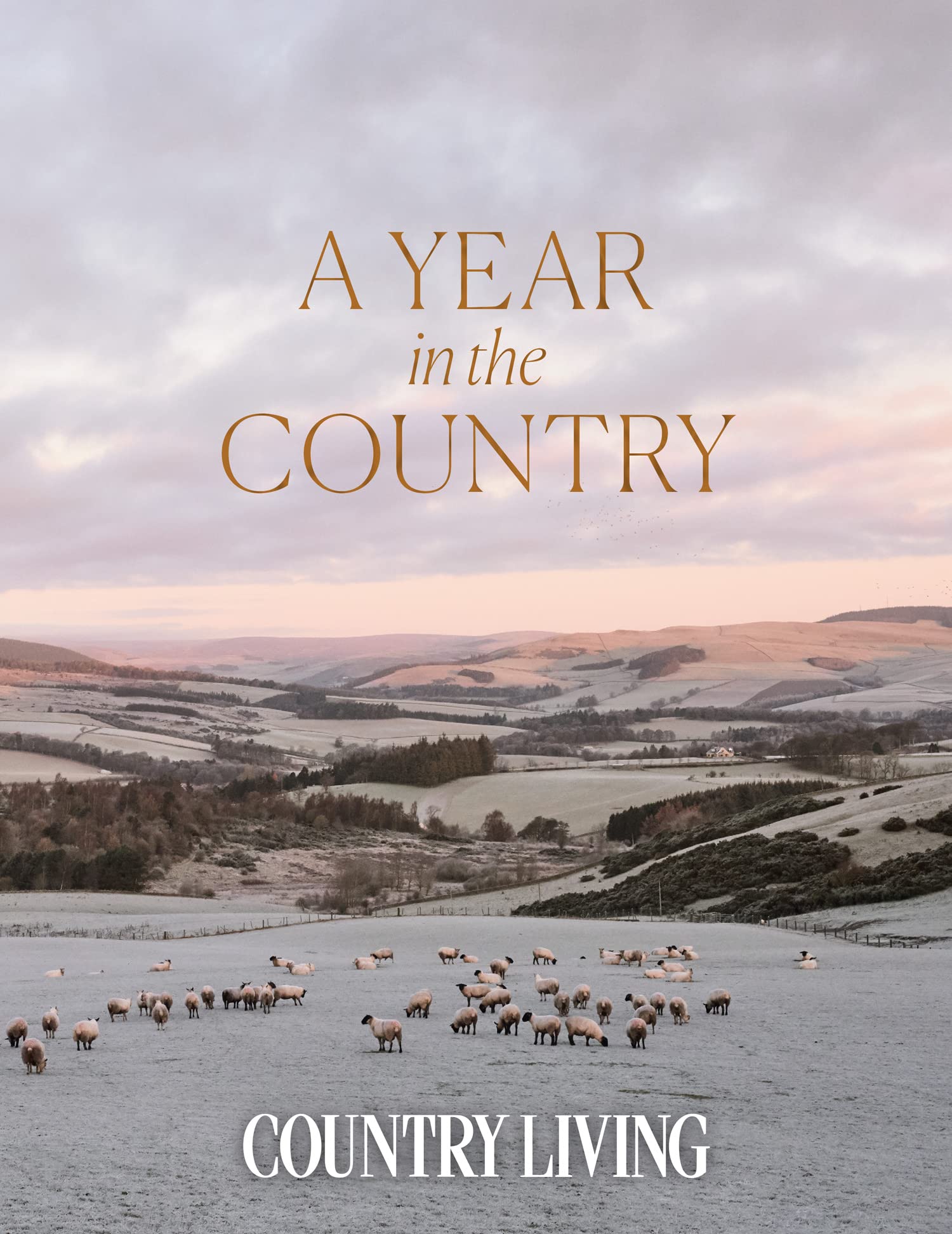 A Year in the Country Mathematics