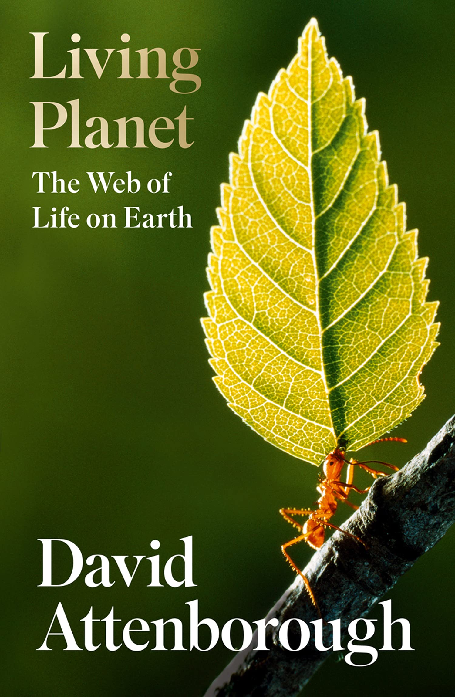 Living Planet: The Web of Life on Earth Geology & Geography