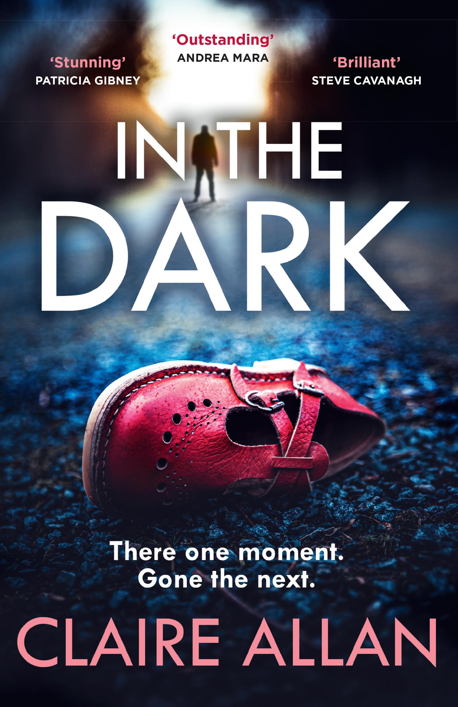 In The Dark Contemporary literature Books