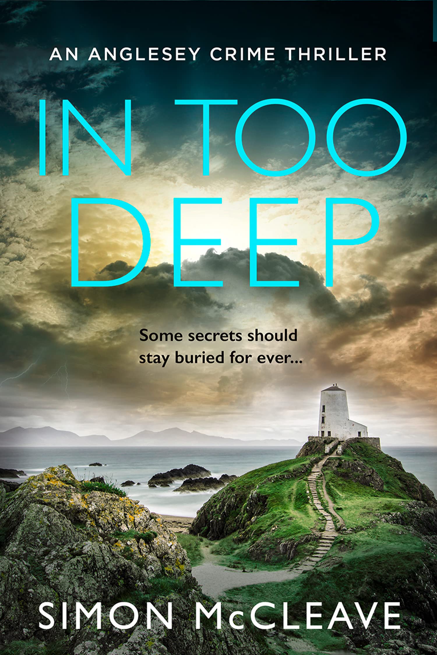 In Too Deep: The absolutely pulse-pounding crime thriller from the author of the bestselling Snowdonia DI Ruth Hunter series (The Anglesey Series) Action & Adventure