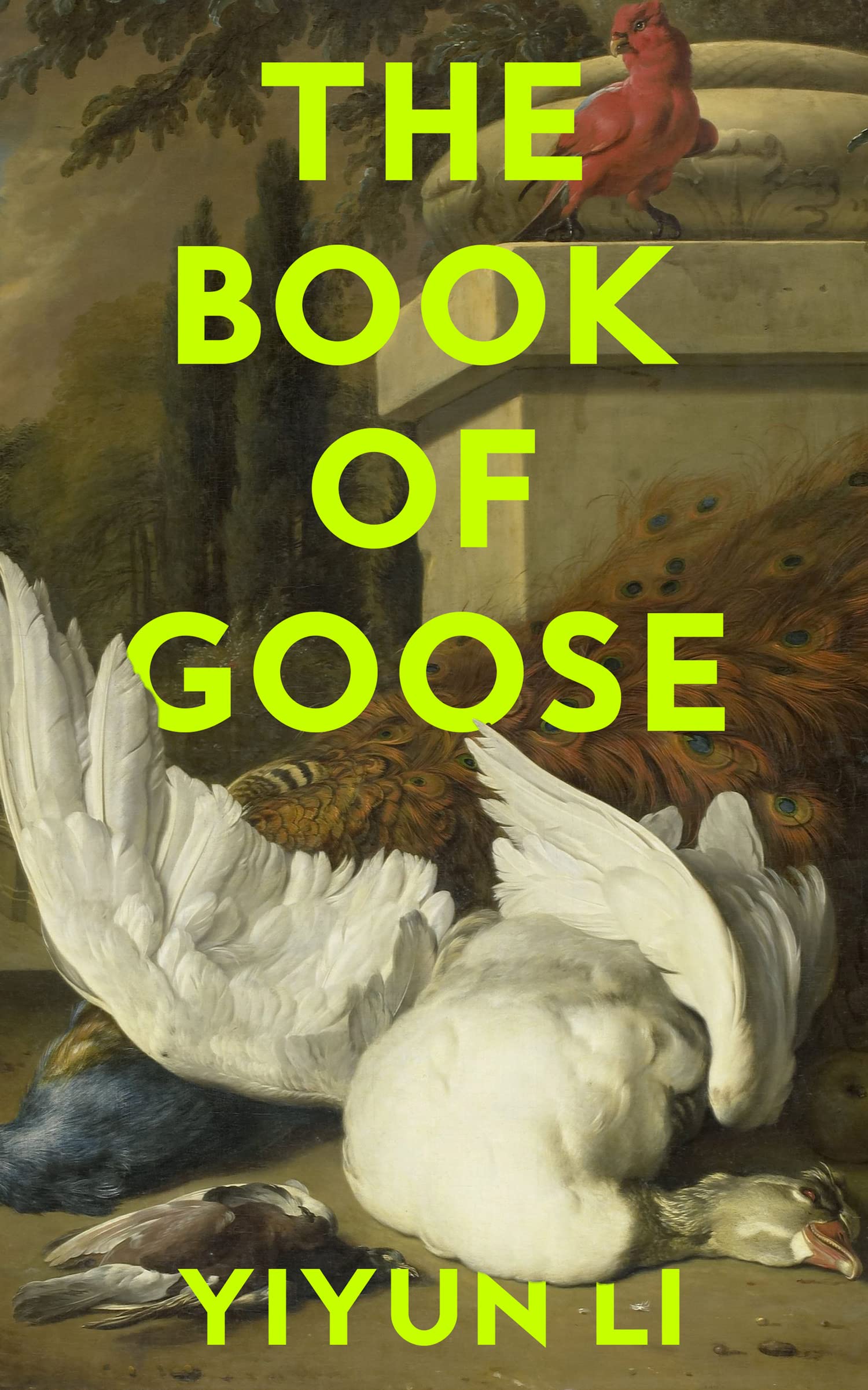 The Book of Goose: The gripping new novel from the prize-winning author of Where Reasons End Contemporary literature Books