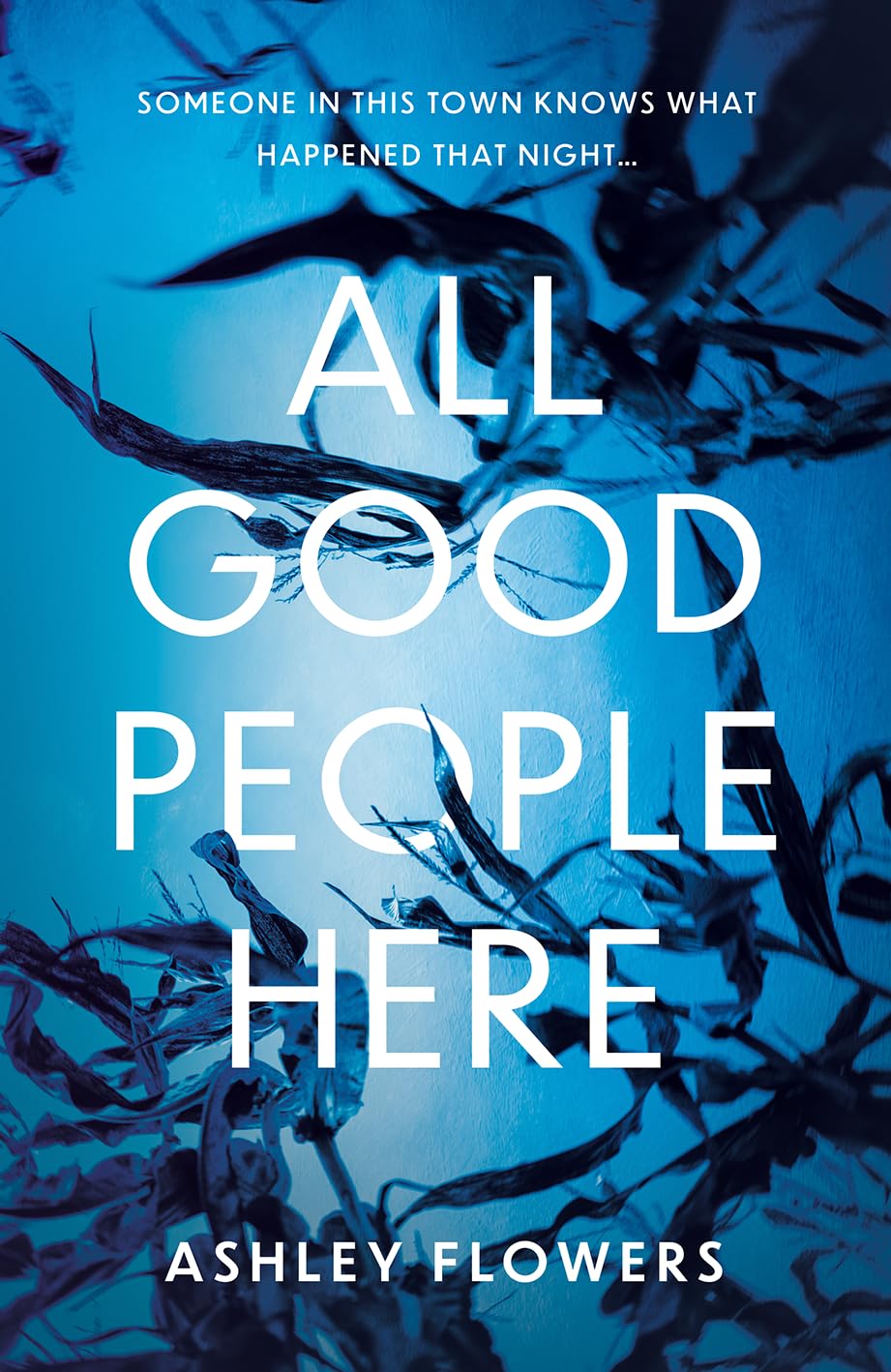 All Good People Here: the gripping debut crime thriller from the host of the hugely popular #1 podcast Crime Junkie, a No1 New York Times bestseller Contemporary literature Books