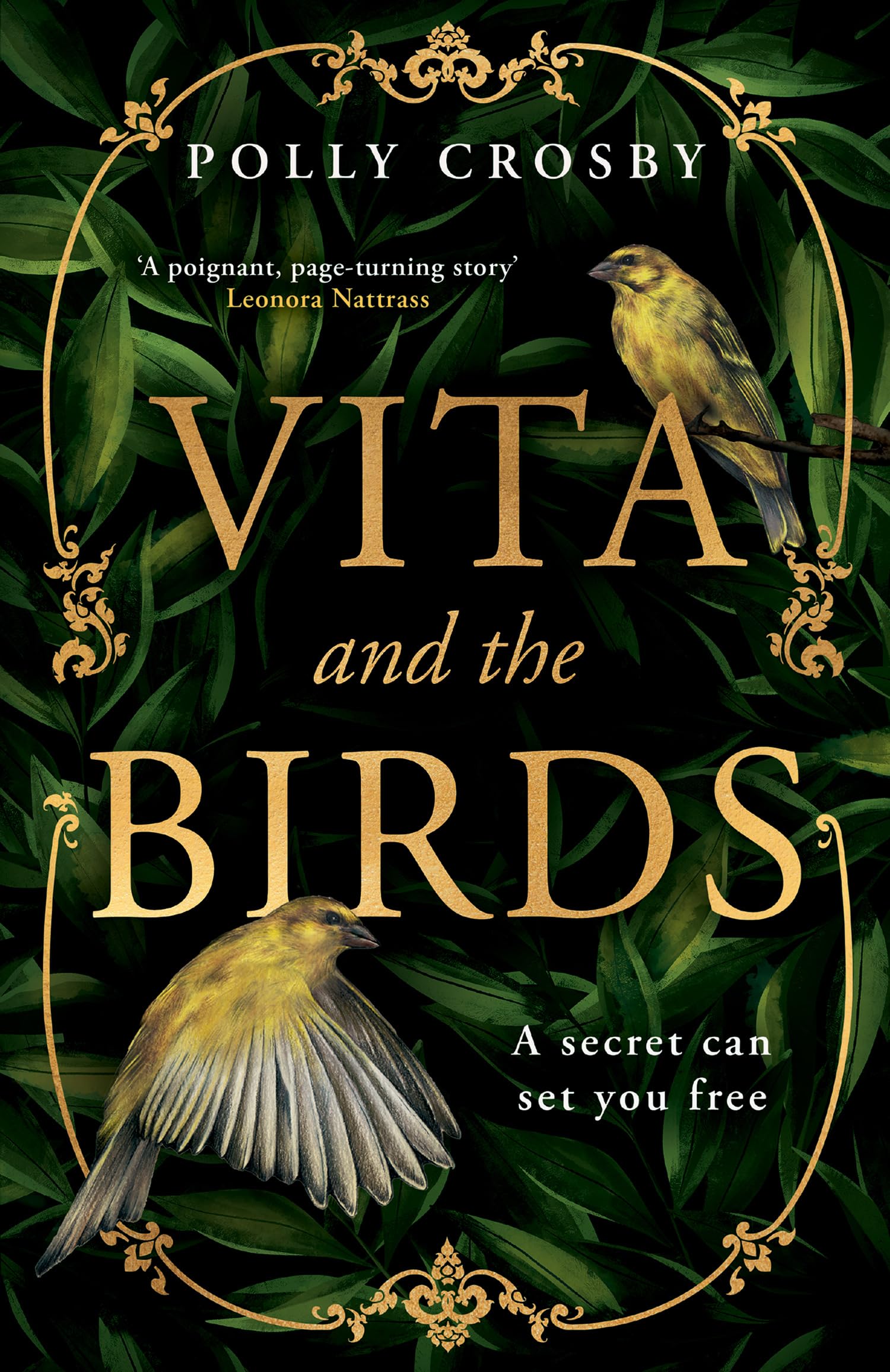 Vita and the Birds LGBTQ+