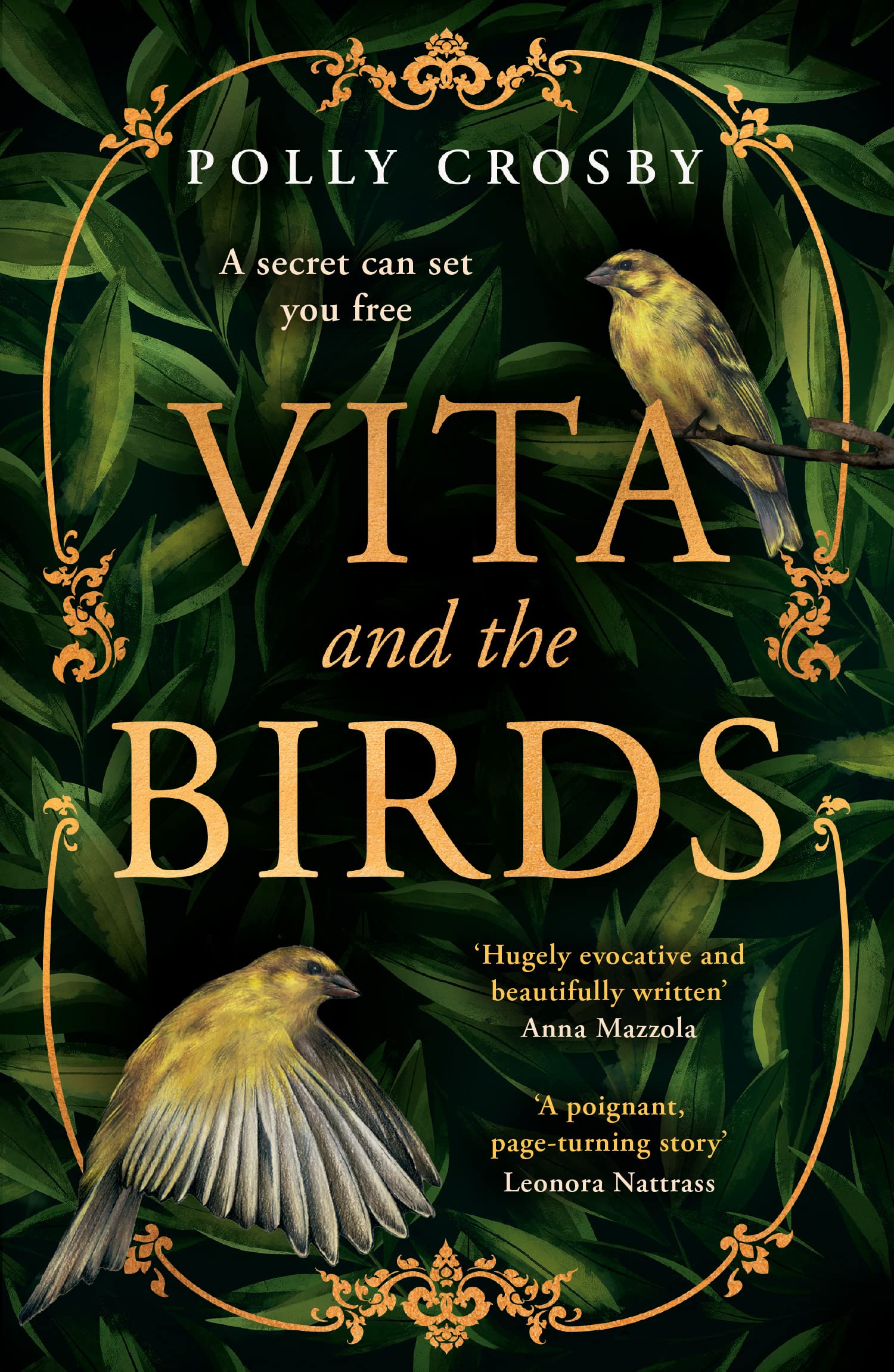 Vita and the Birds LGBTQ+