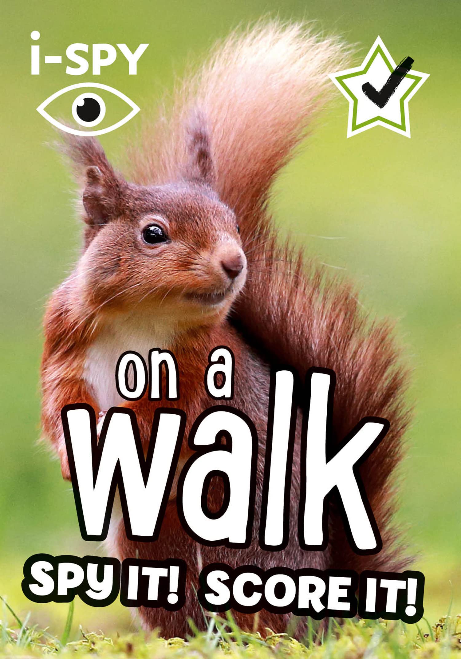 i-SPY on a walk: Spy it! Score it! (Collins Michelin i-SPY Guides) Leisure, Home & Garden