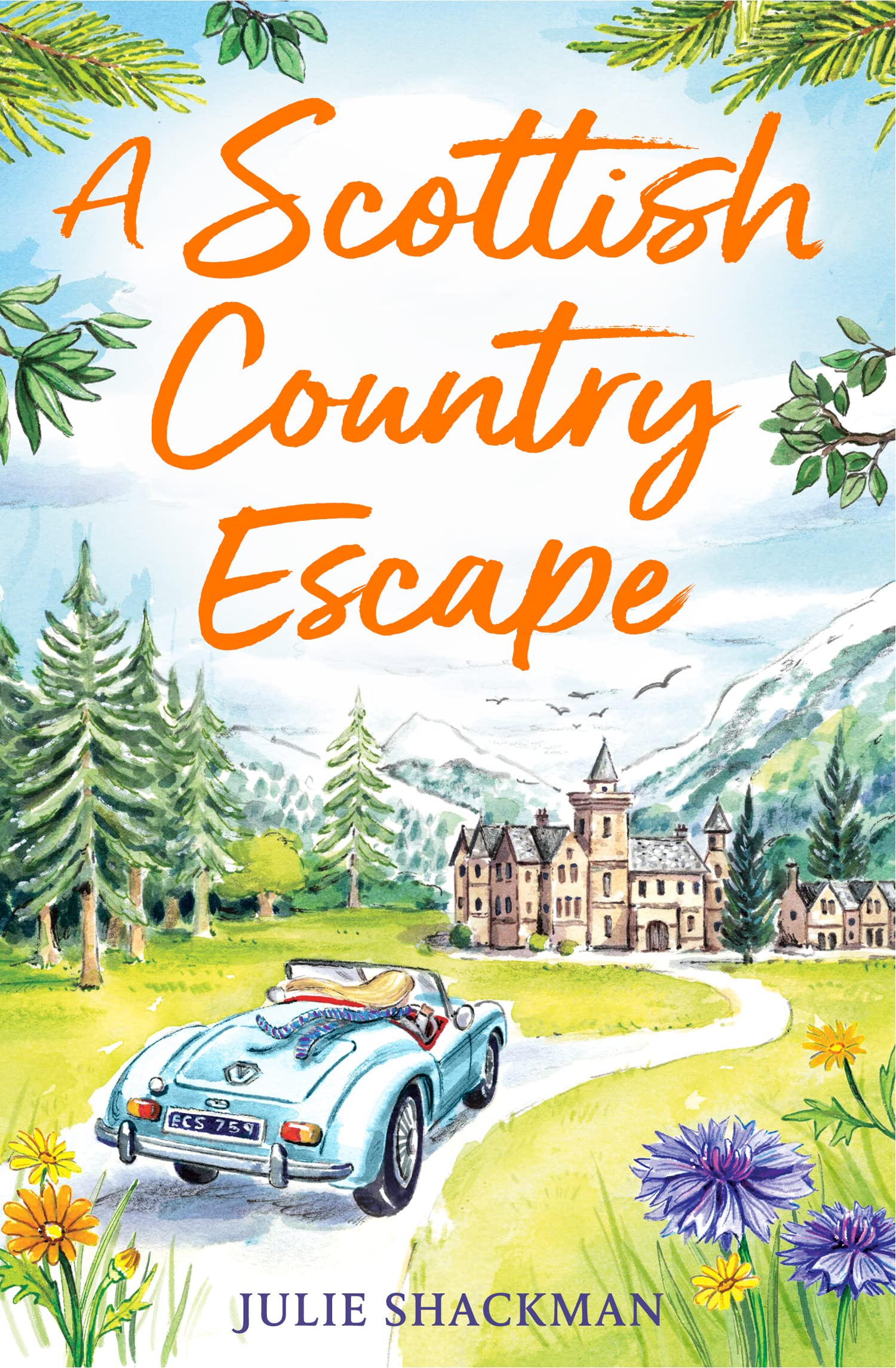 A Scottish Country Escape Contemporary literature