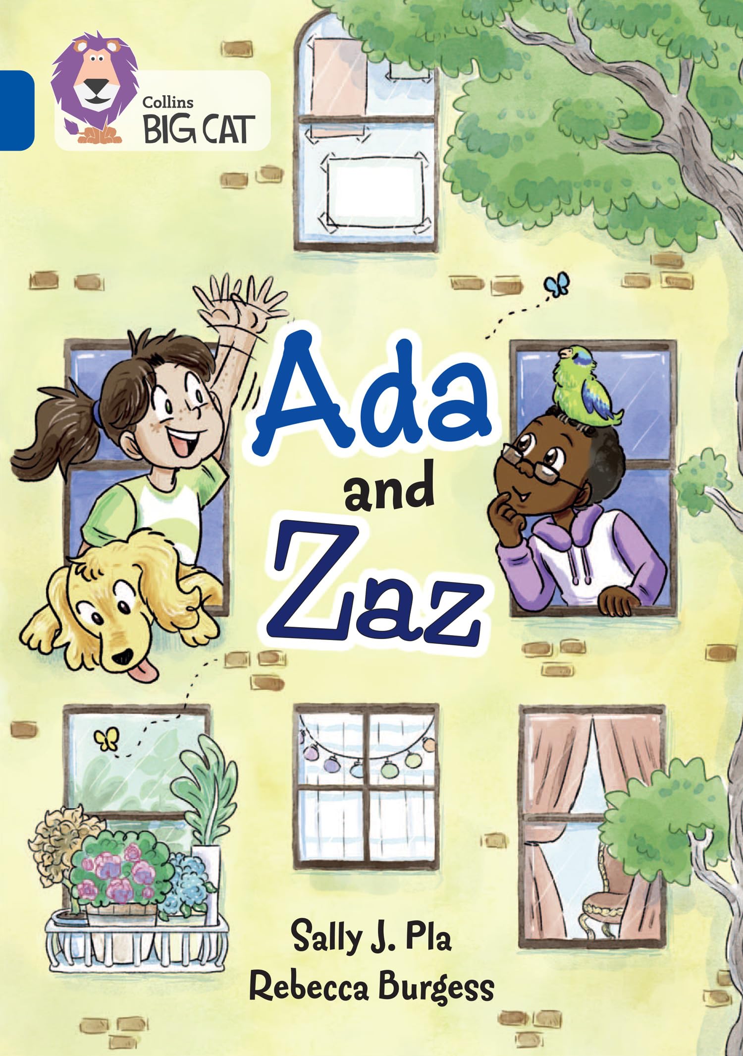 Ada and Zaz: Band 16/Sapphire (Collins Big Cat) Education & Training