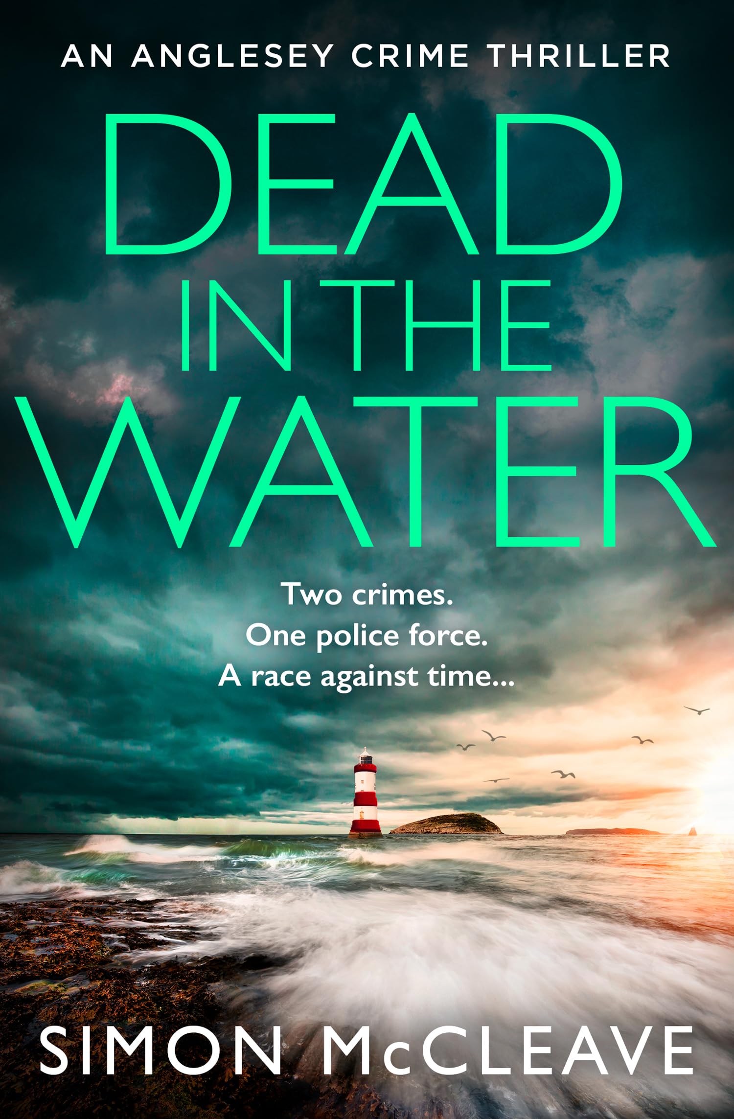 Dead in the Water: The unputdownable new gripping crime thriller from the author of the bestselling Snowdonia DI Ruth Hunter series (The Anglesey Series) Social Sciences