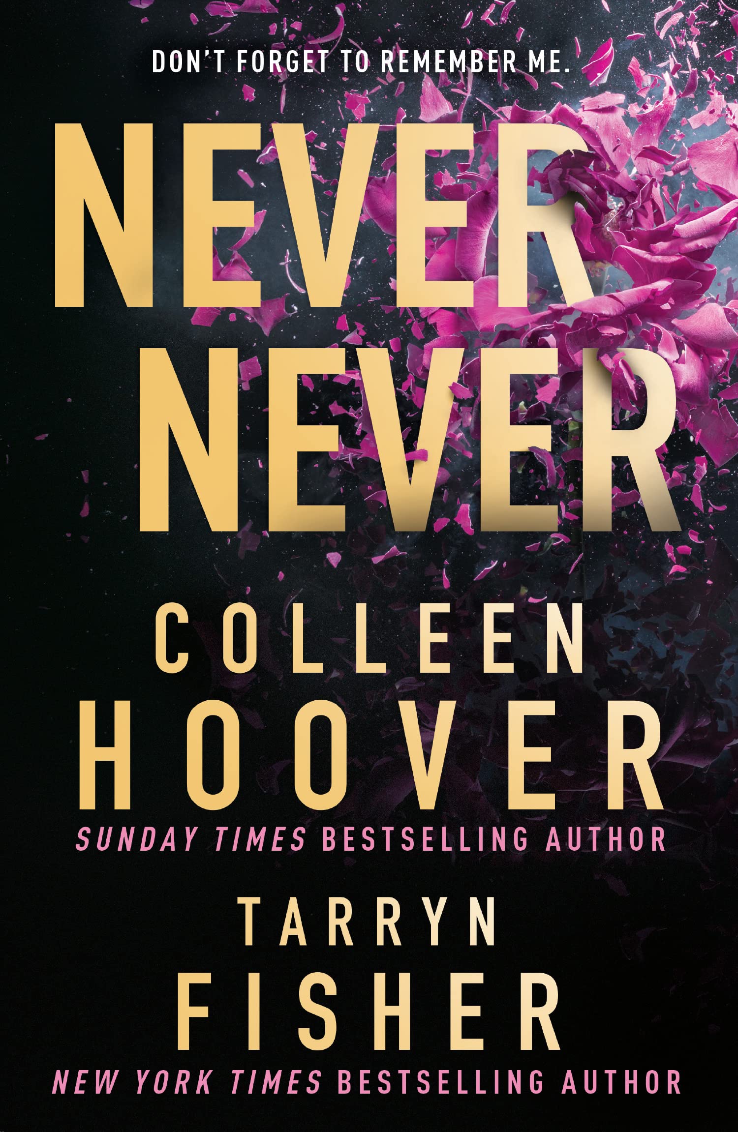 Never Never: TikTok made me buy it! The Sunday Times bestselling dark romance suspense thriller from the BookTok sensation and author of It Ends with Us, perfect for 2026 Contemporary literature Books