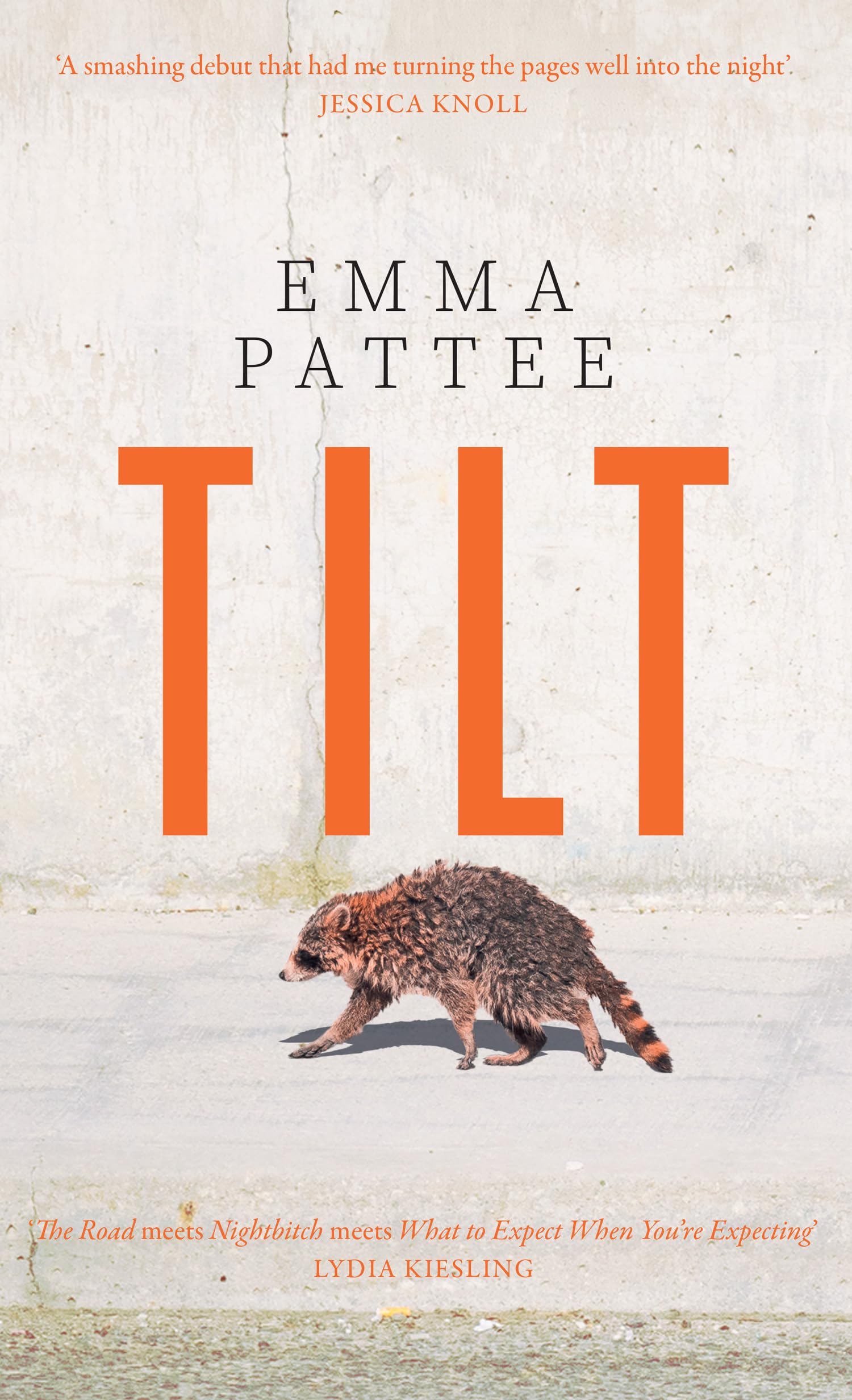 Tilt: A thrilling literary debut about how we confront disaster, hotly anticipated for 2025 Contemporary literature
