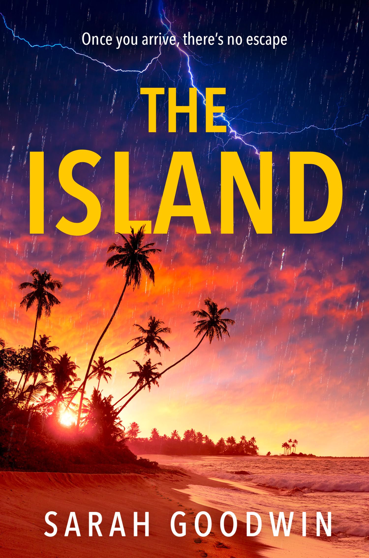 The Island Contemporary literature Books
