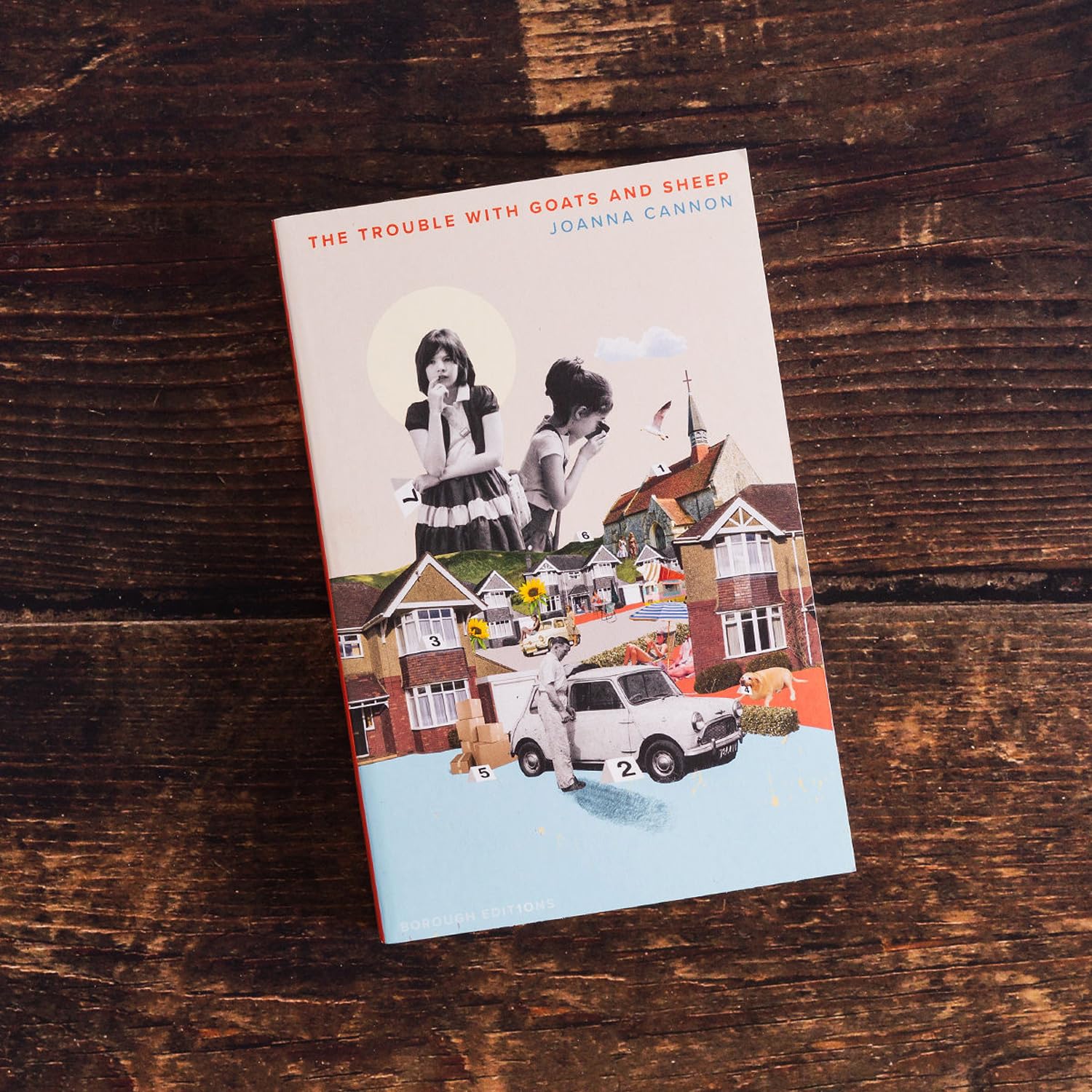 The Trouble with Goats and Sheep Contemporary literature
