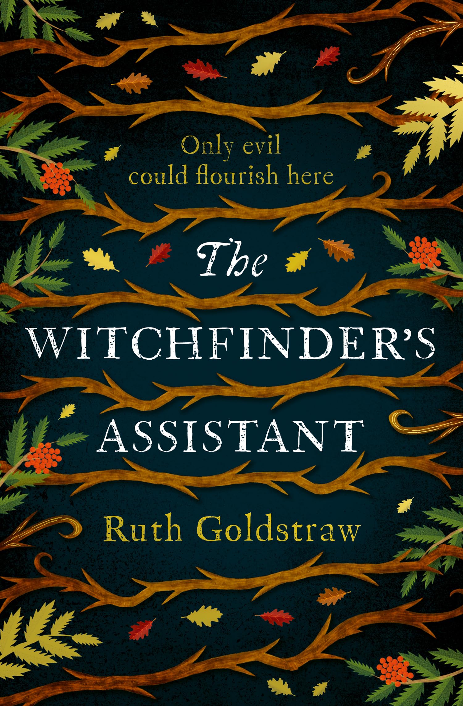 The Witchfinder’s Assistant: A haunting historical mystery novel about the witch trials – perfect for reading this Fall 2025 Horror & Mystery