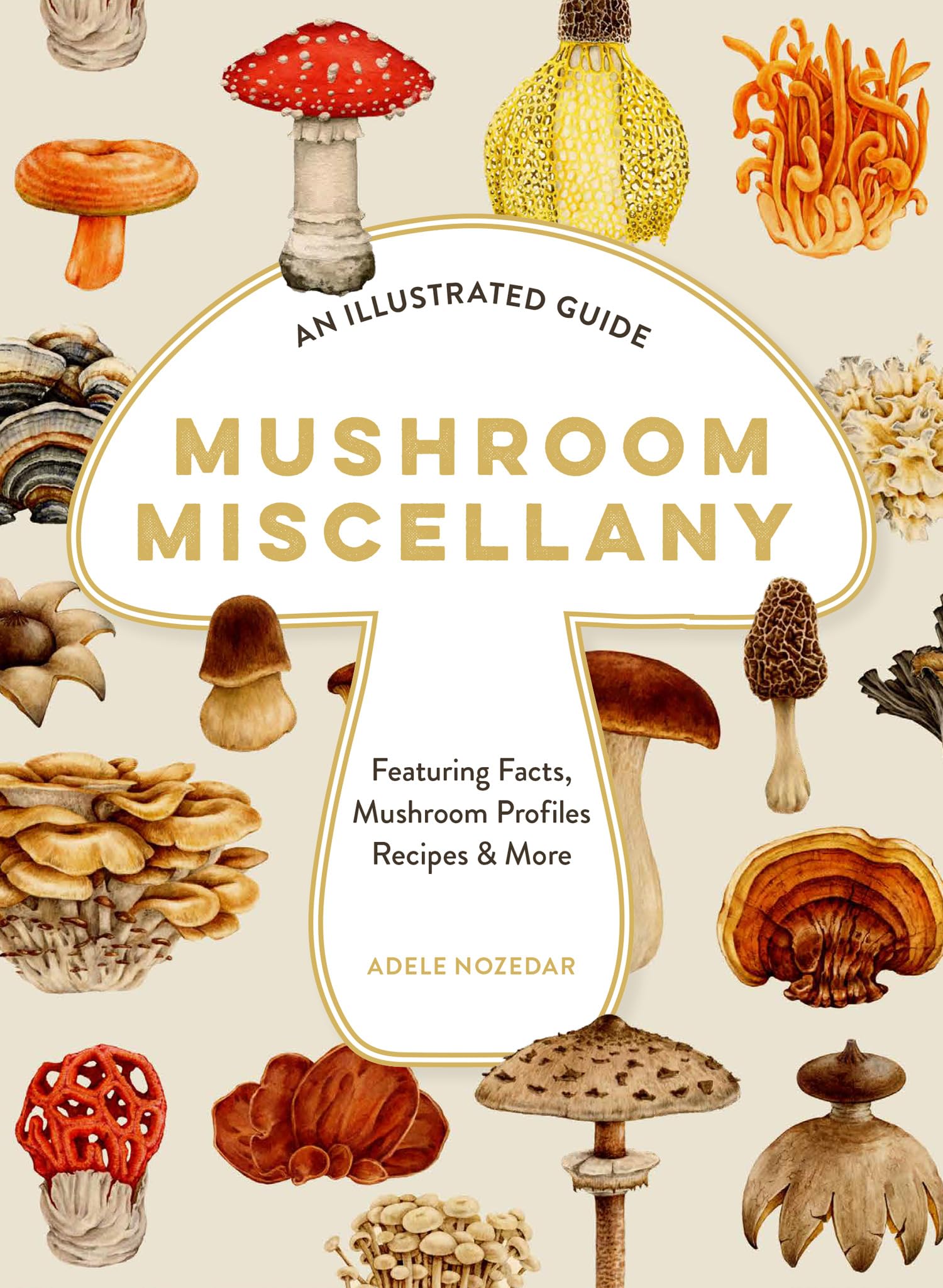 Mushroom Miscellany: An Illustrated Guide Featuring Fun Facts, Mushroom Profiles, Recipes & More Mathematics