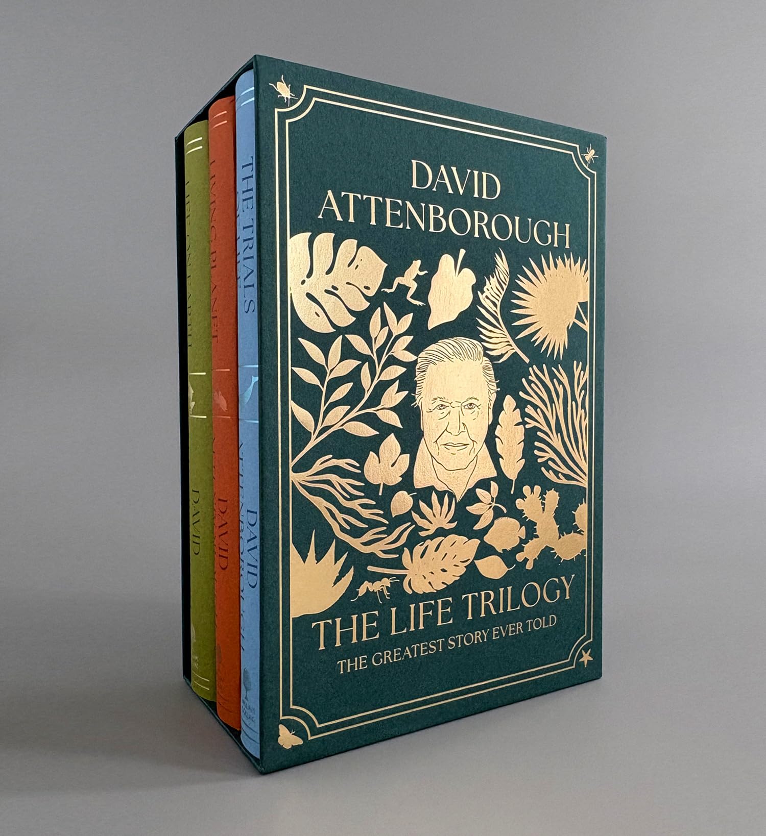 The Life Trilogy Boxset: The Greatest Story Ever Told Mathematics