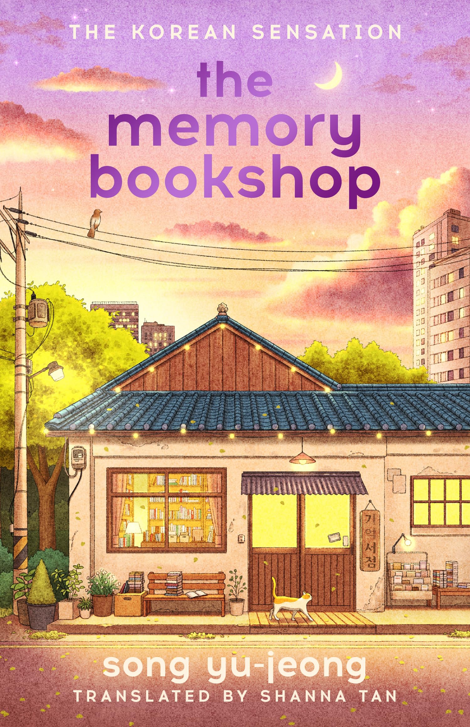 The Memory Bookshop Contemporary literature