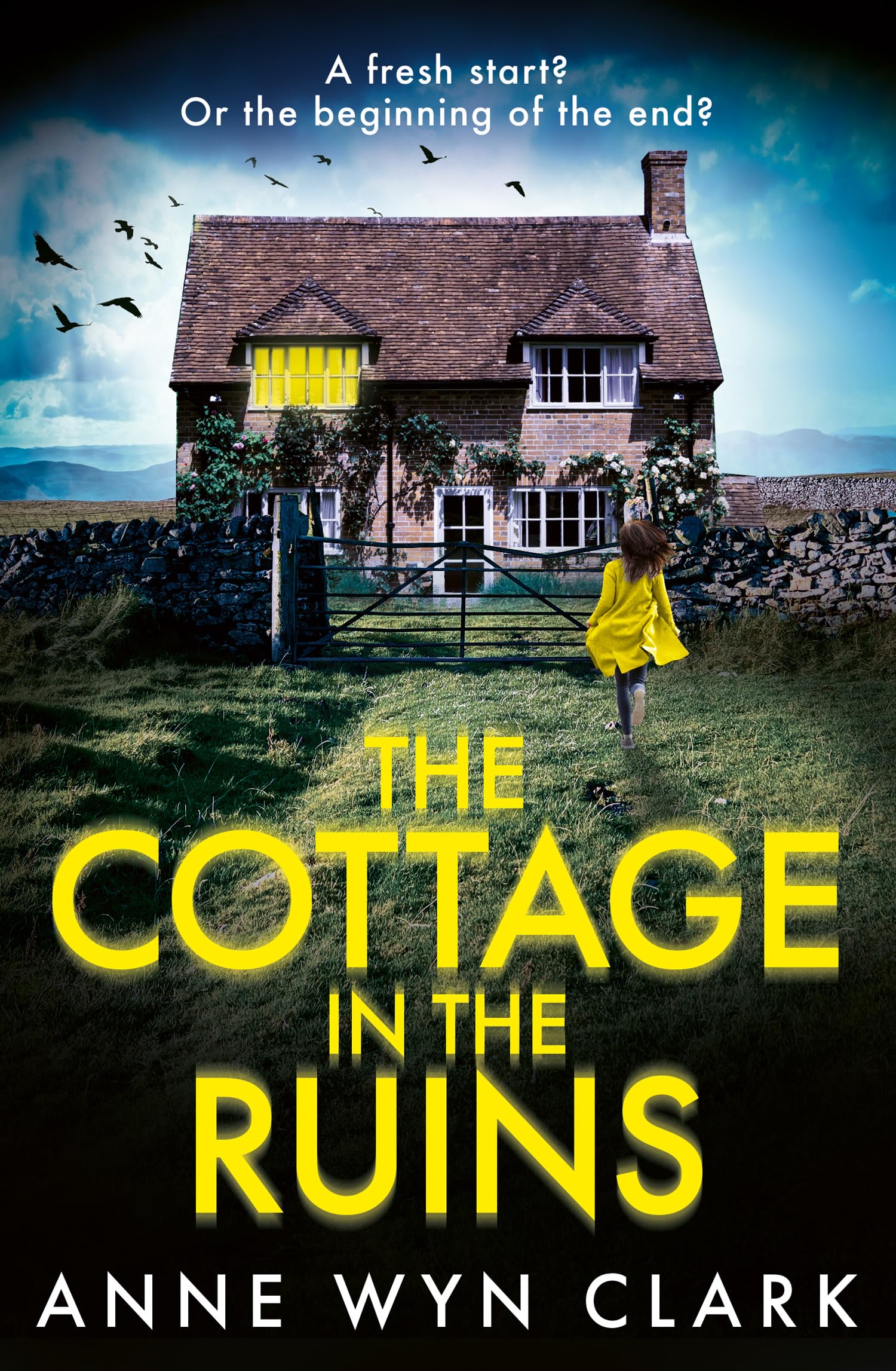 The Cottage in the Ruins book
